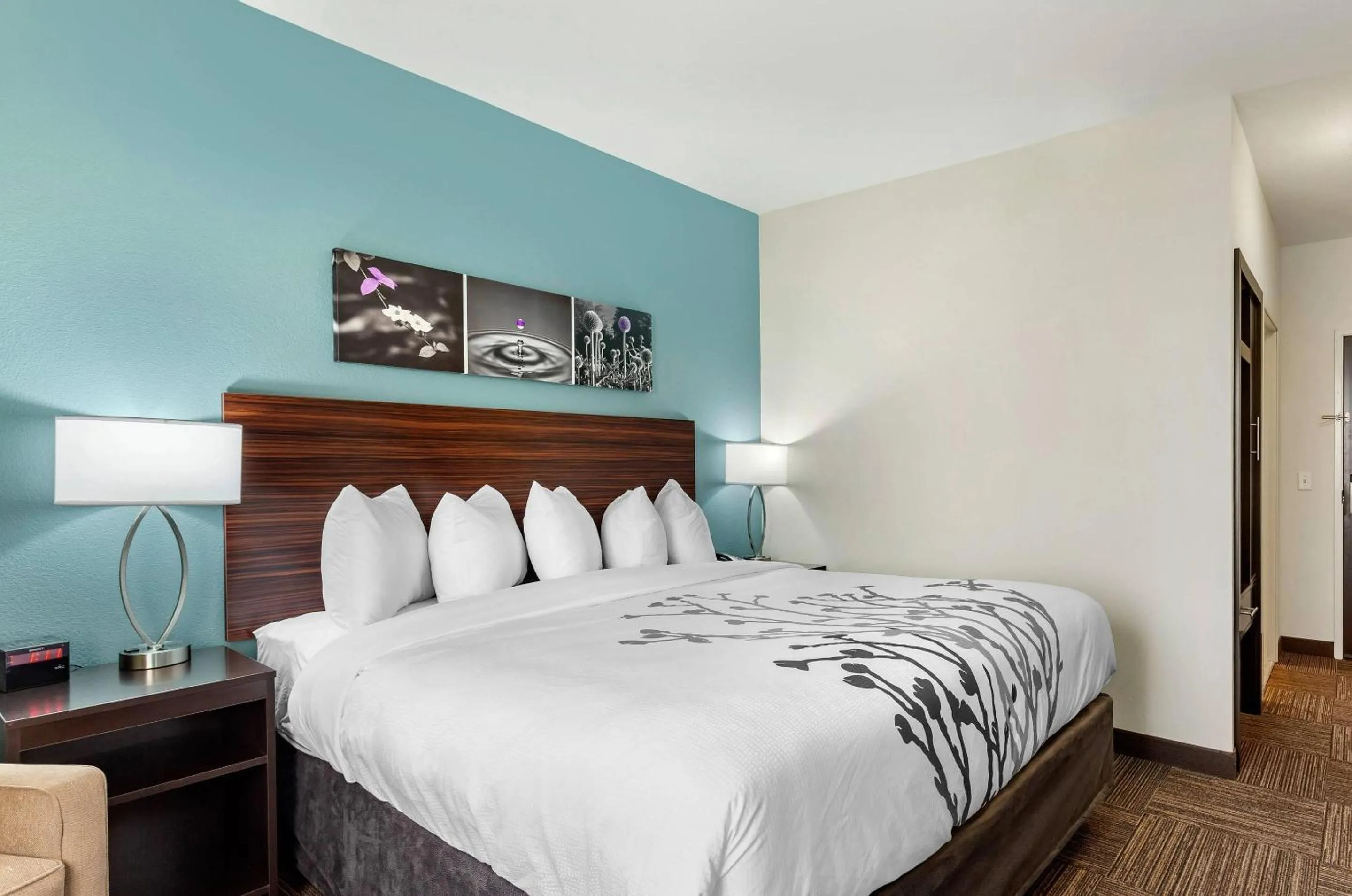 Bedroom, Bed in Sleep Inn Lancaster Dallas South