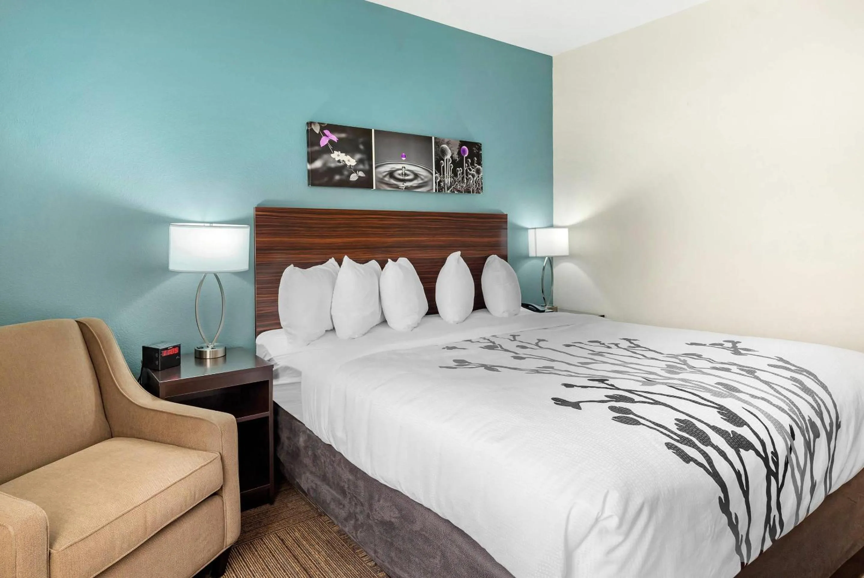 Bedroom, Bed in Sleep Inn Lancaster Dallas South