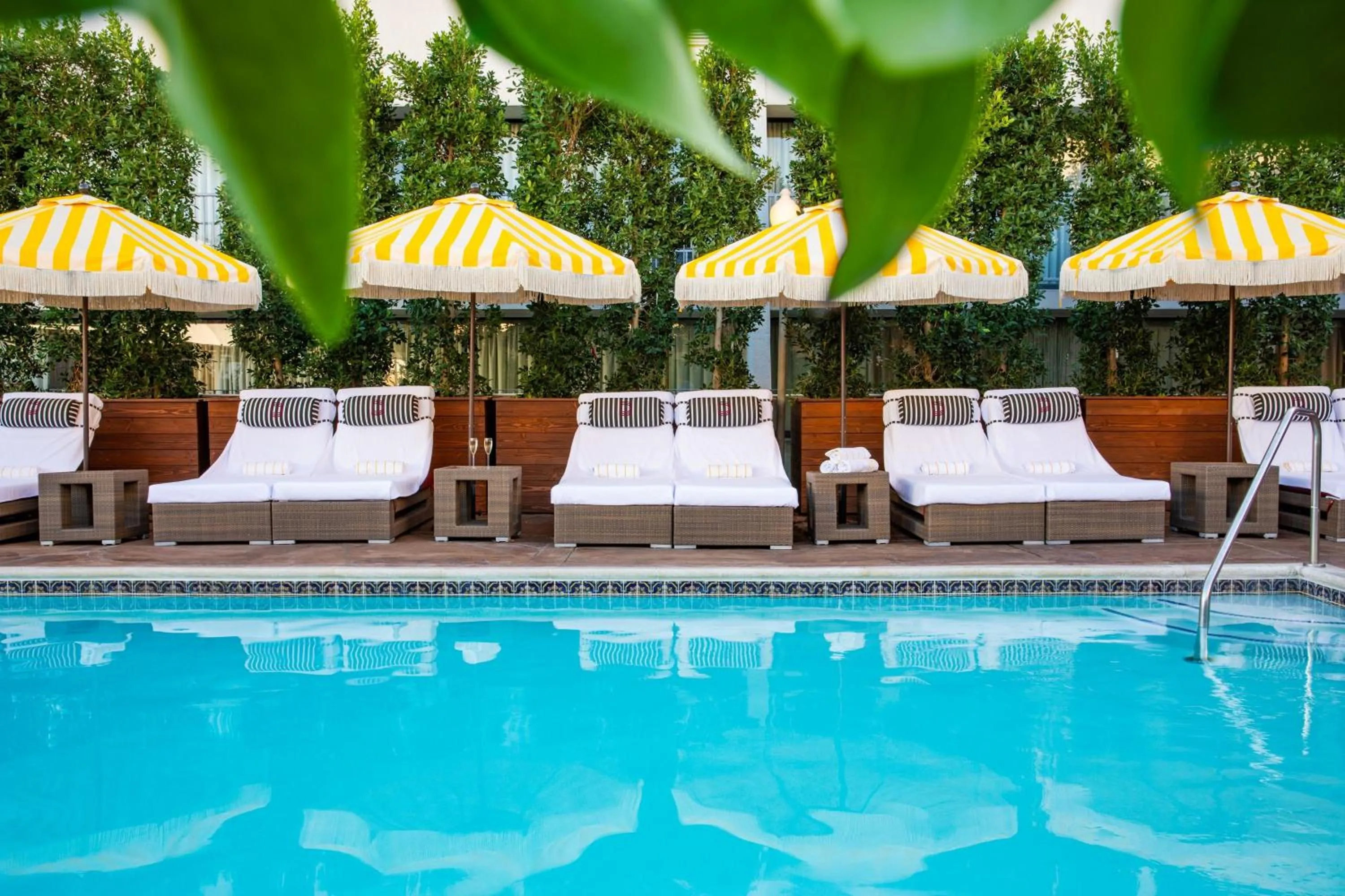 Swimming pool in Hotel Dena, Pasadena Los Angeles, a Tribute Portfolio Hotel
