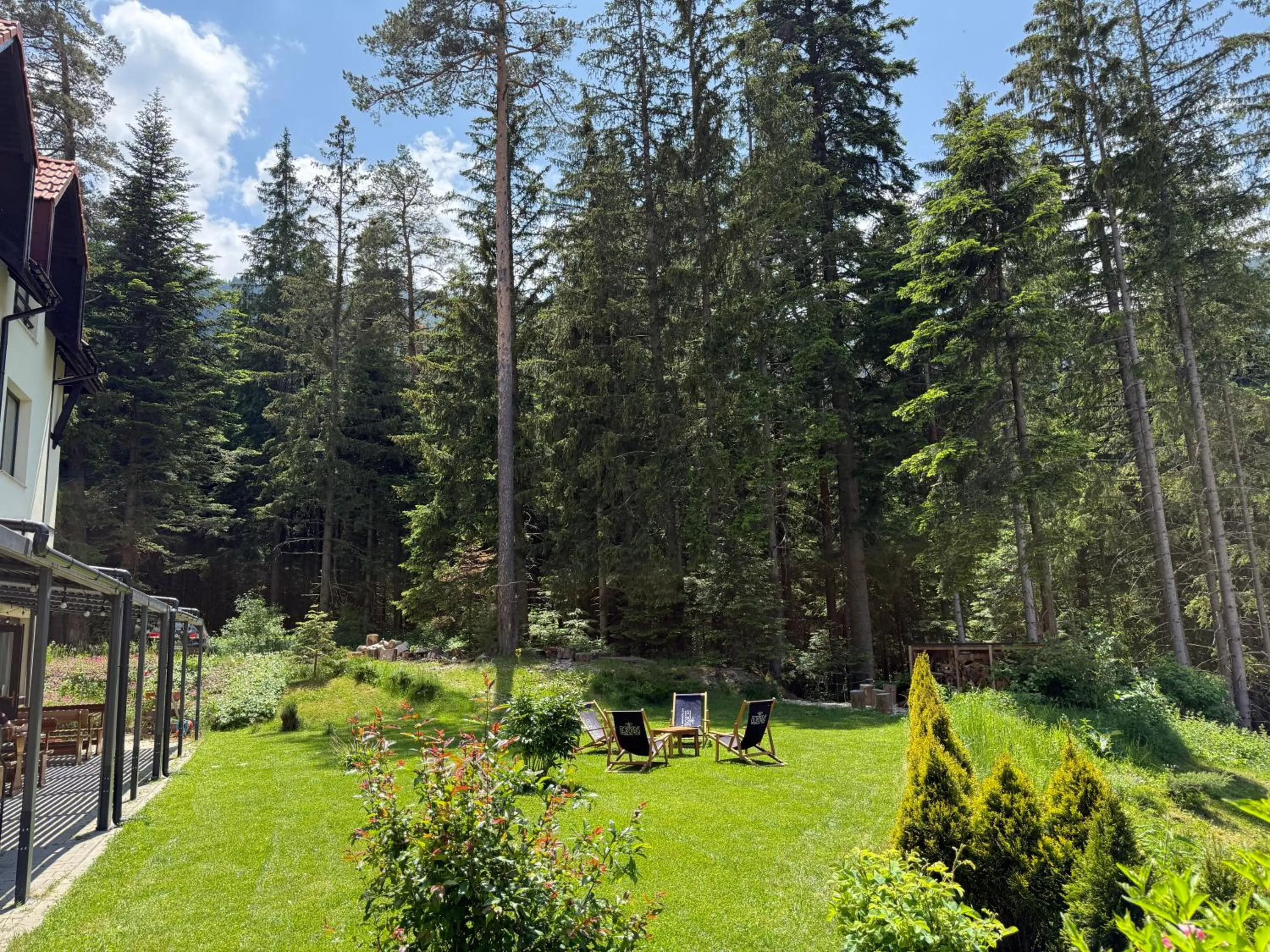 Berghof Eva - Hotel