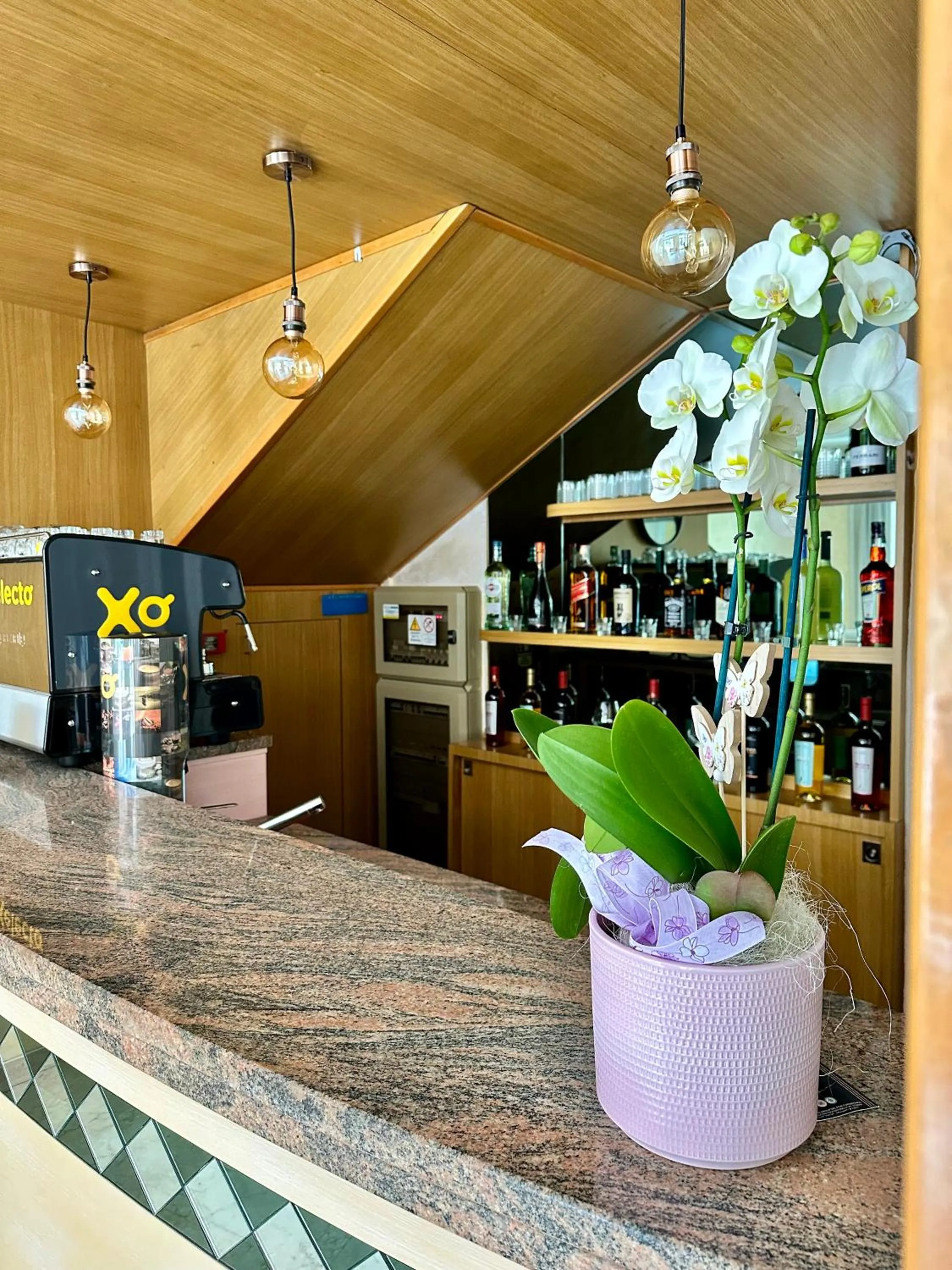 Restaurant/places to eat in Hotel Enna Rimini