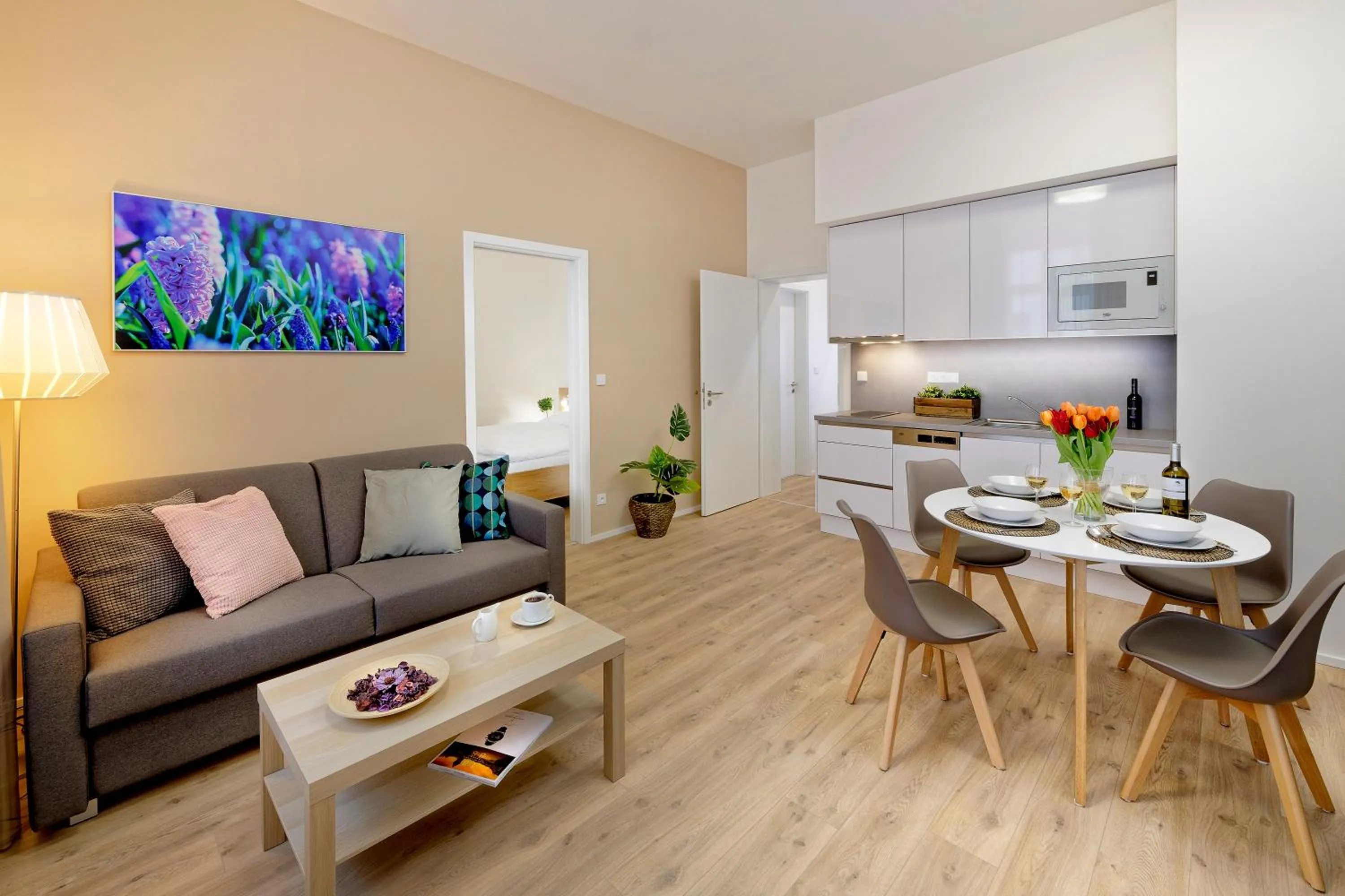 TV and multimedia in DownTown Suites Jugoslavska