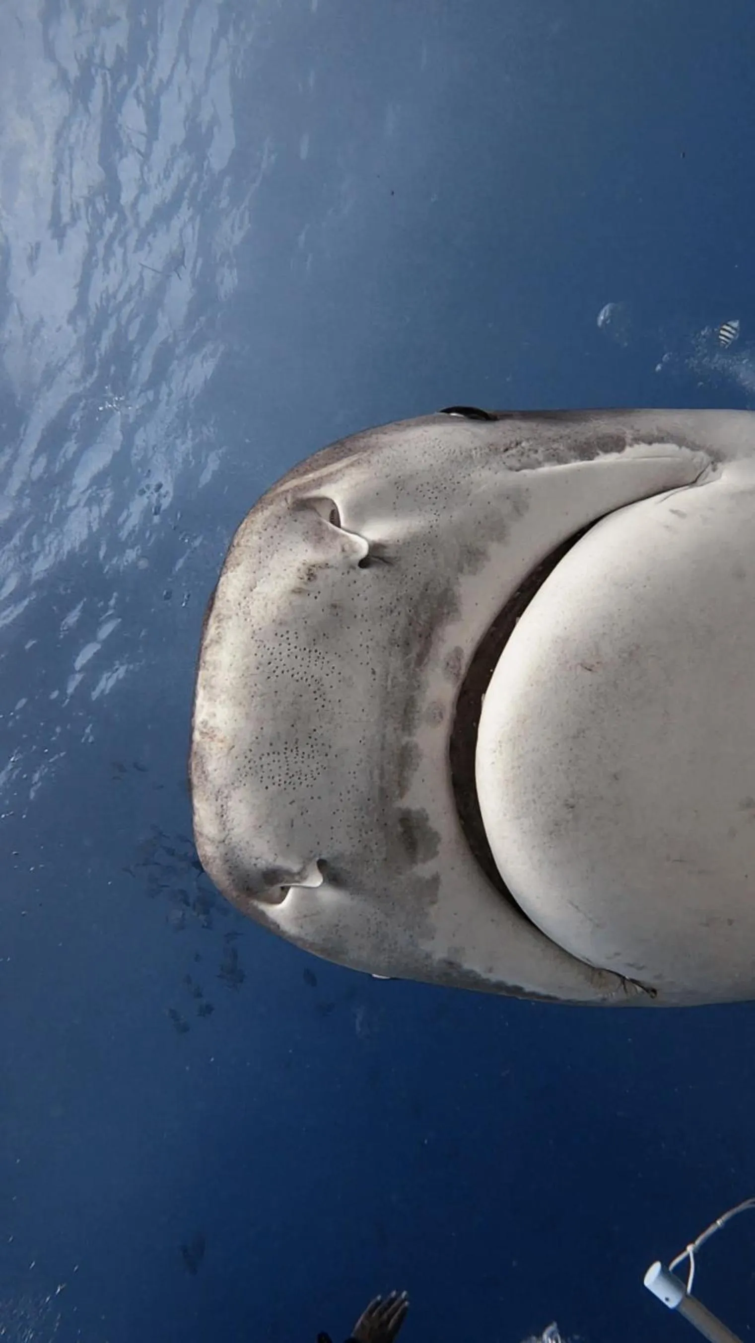 Diving in Isle Royal Inn