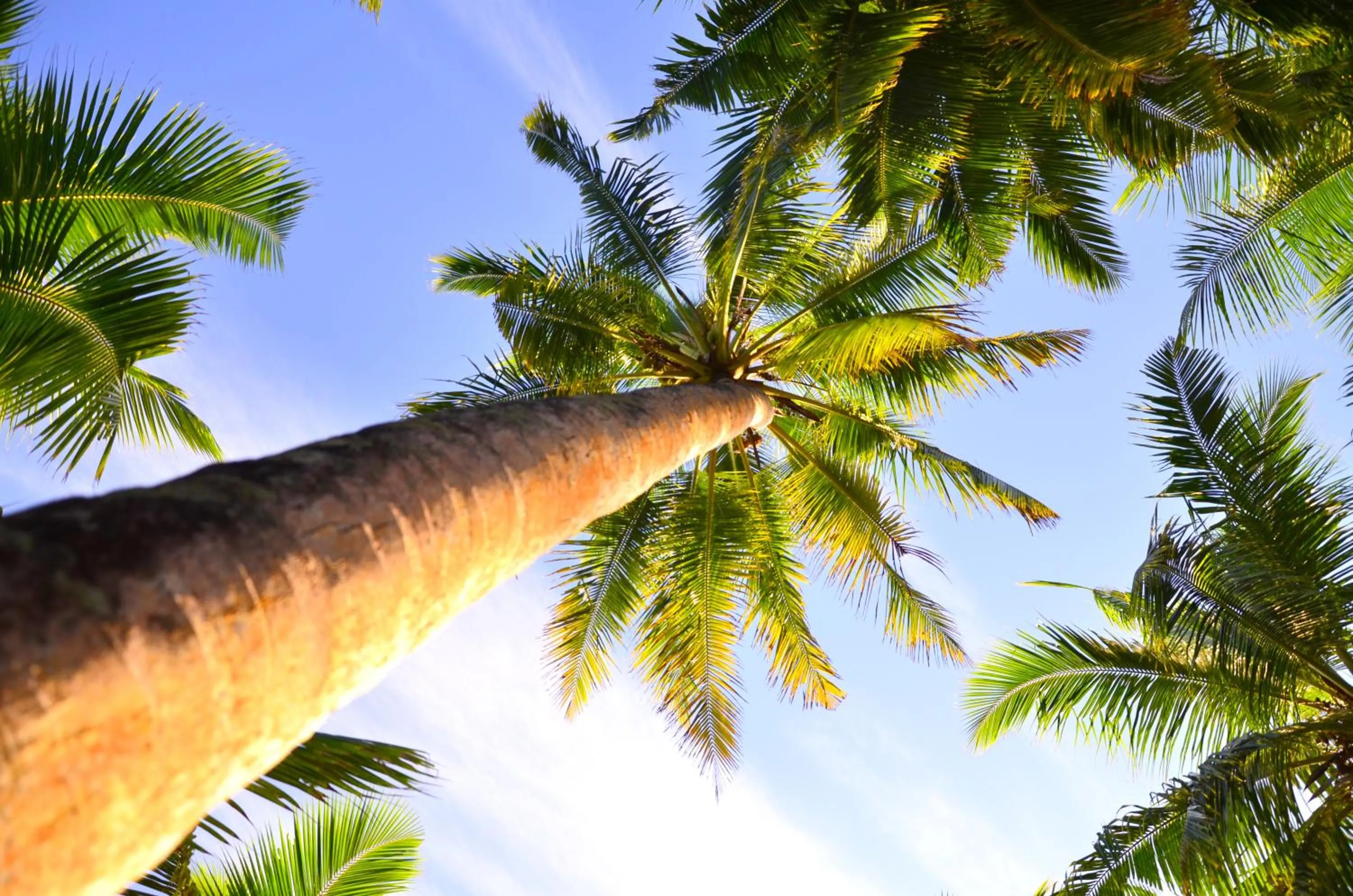 Location in Isle Royal Inn