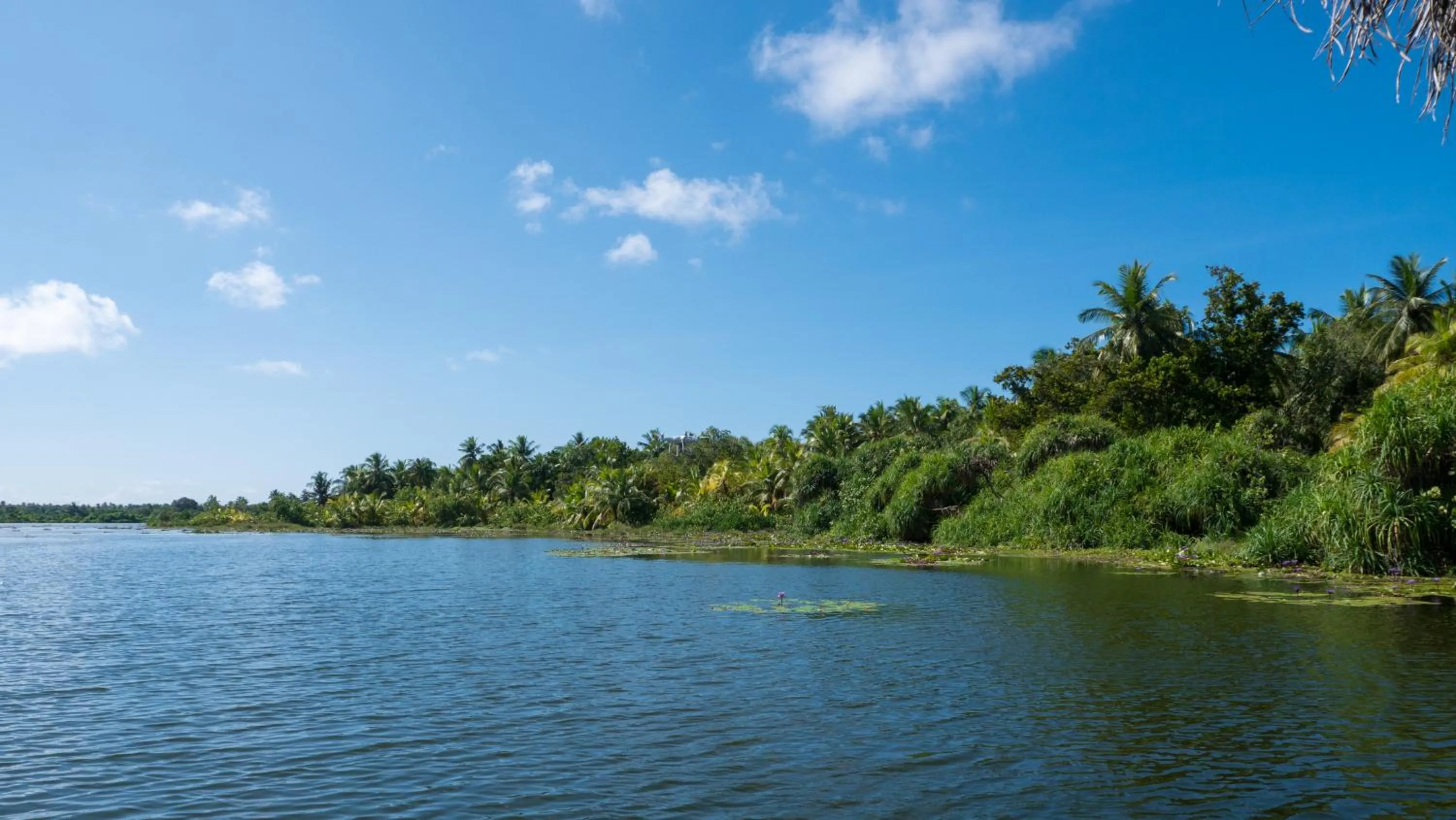 Natural landscape in Isle Royal Inn