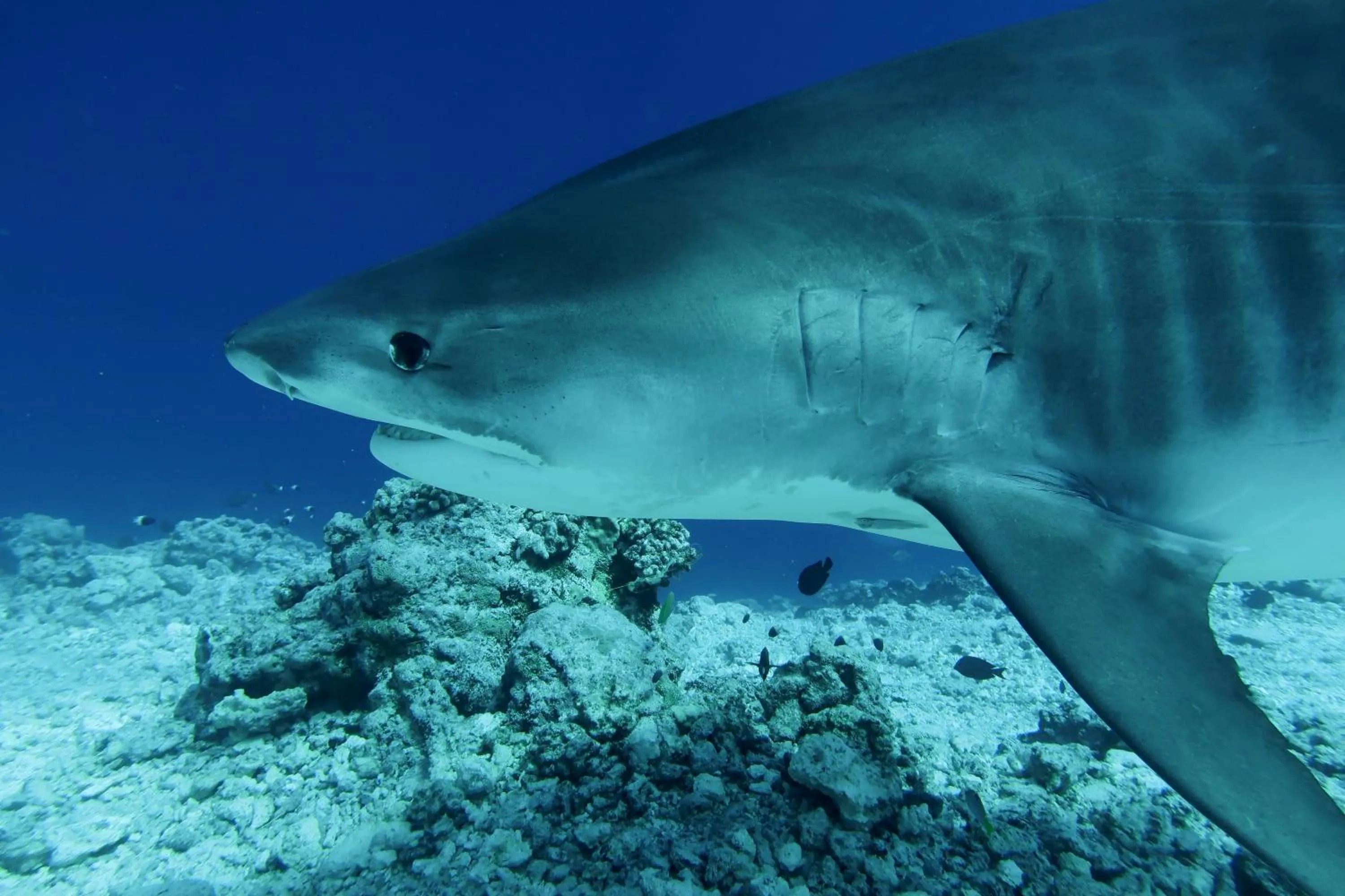 Natural landscape in Isle Royal Inn