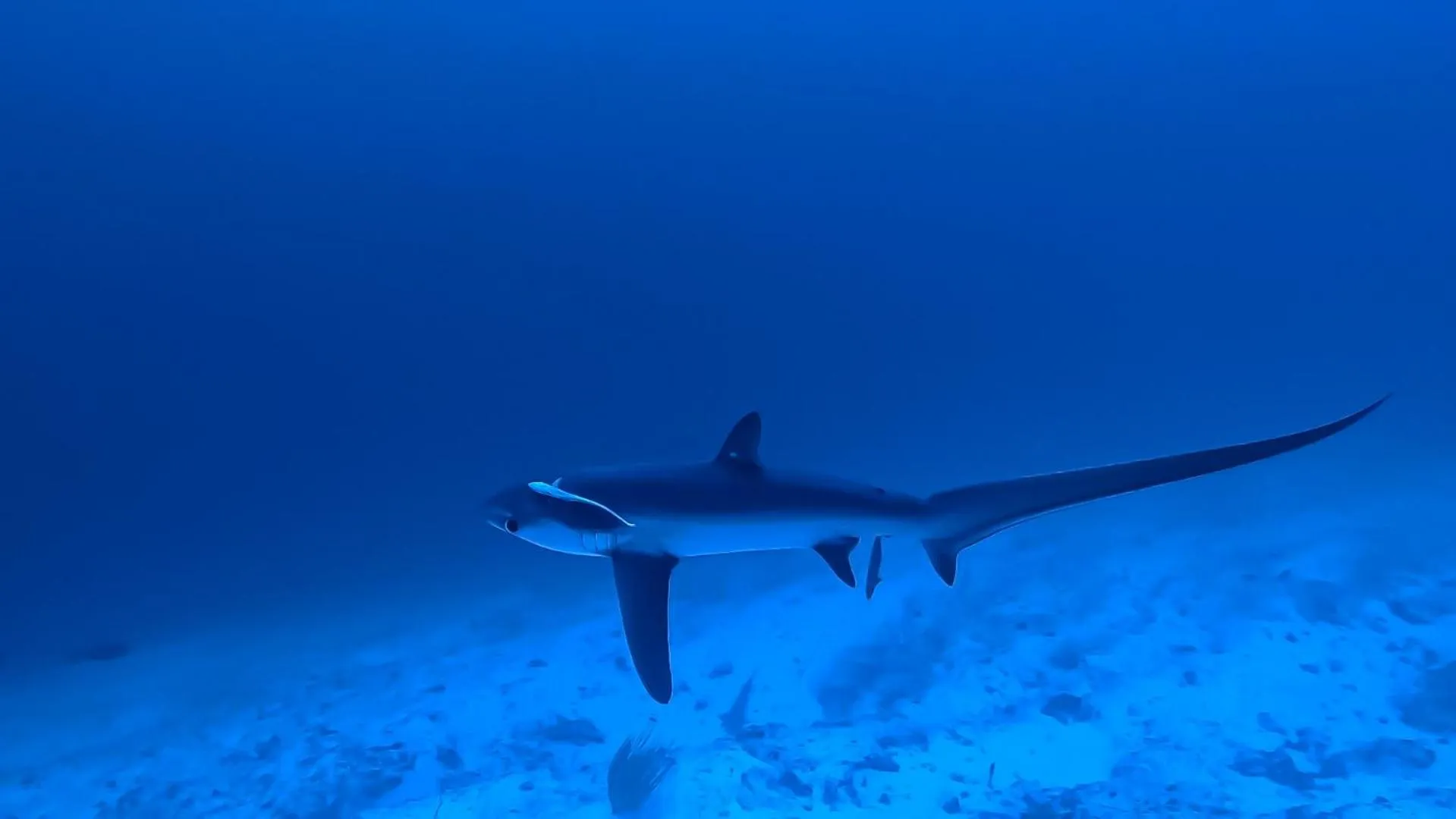 Natural landscape in Isle Royal Inn