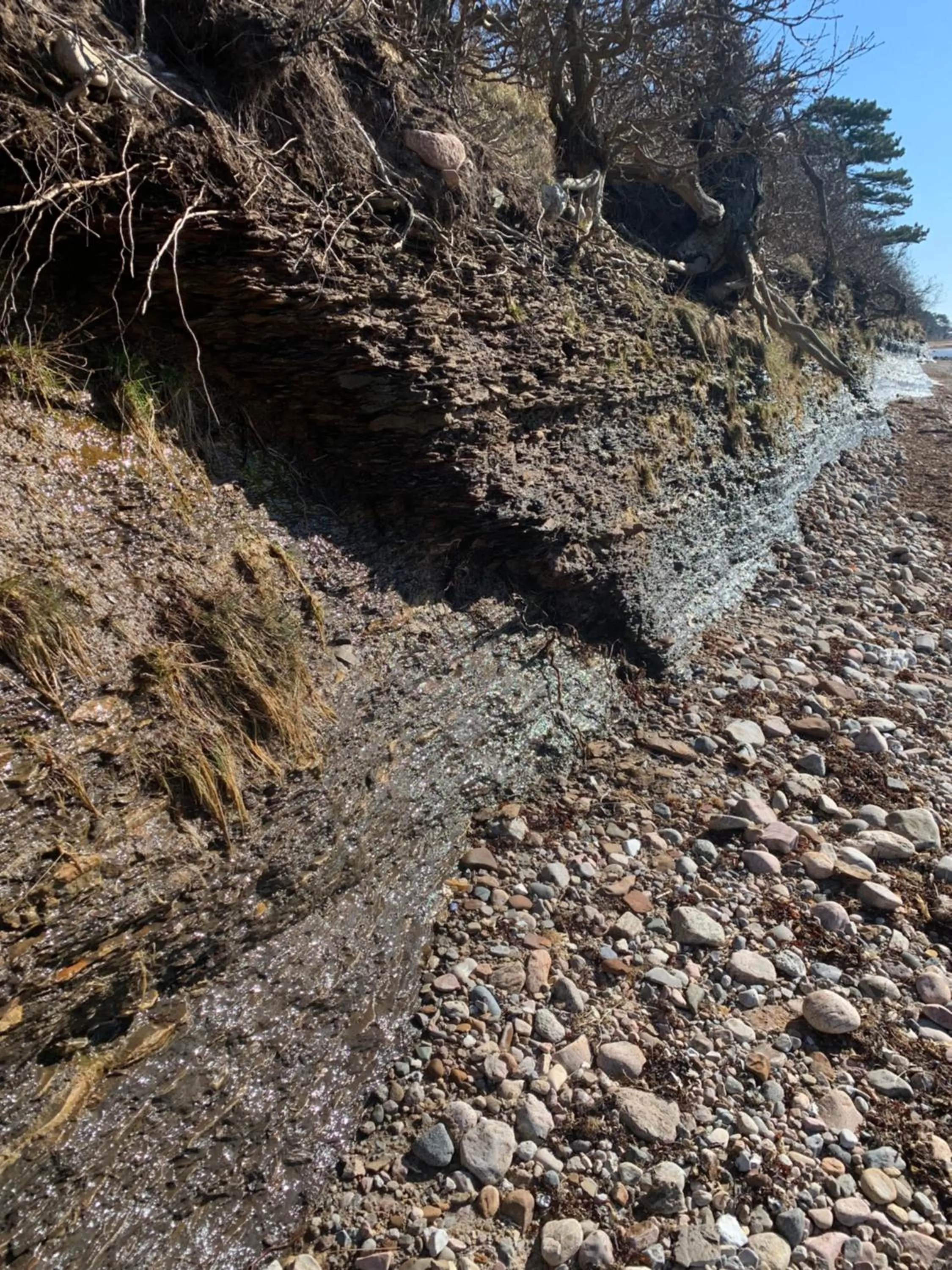 Vingårdens Bed & Breakfast