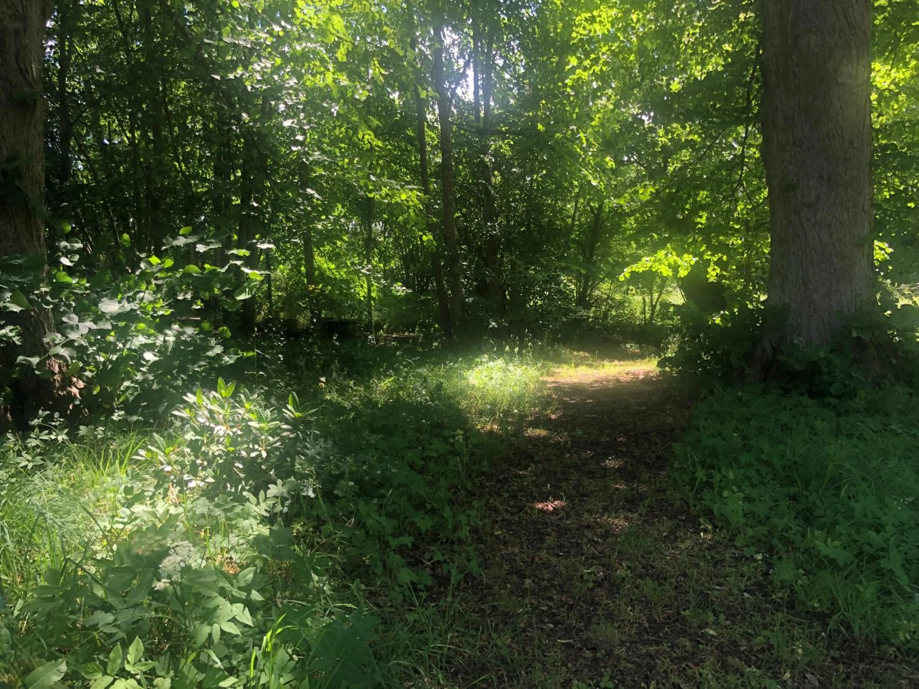 Vingårdens Bed & Breakfast