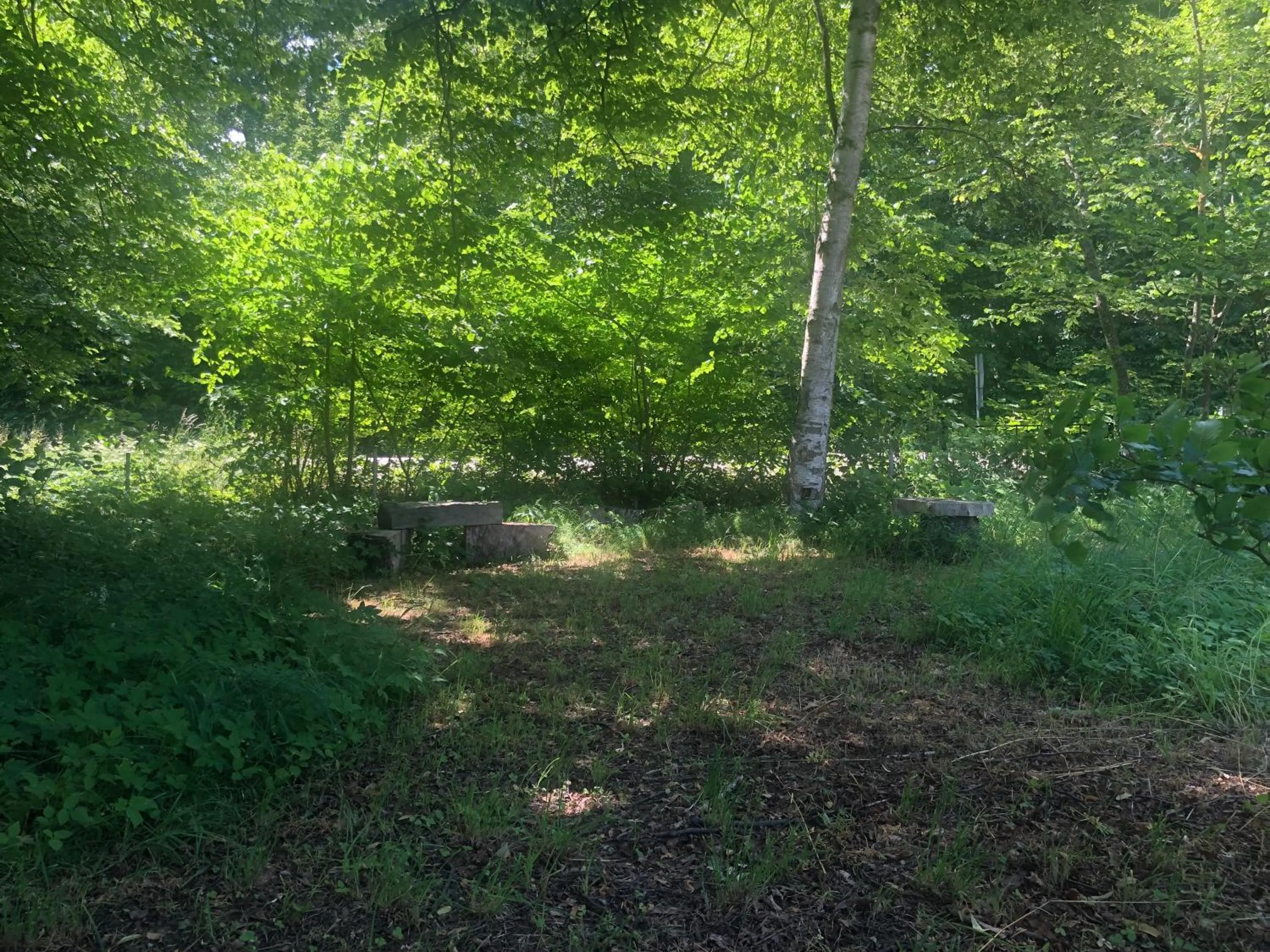 Vingårdens Bed & Breakfast