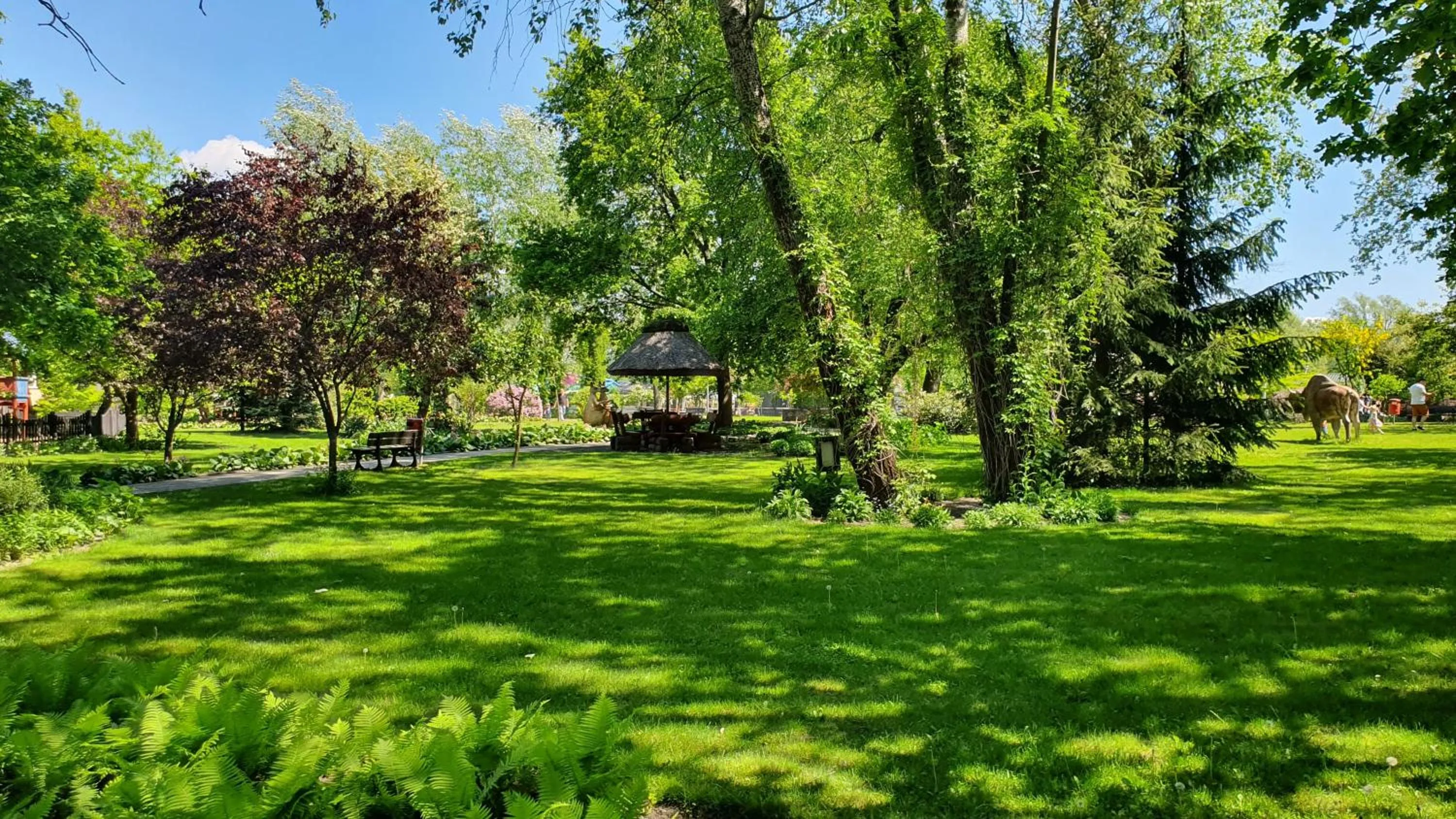 Natural landscape in Hotel Nadodrzański Dwór - Nowa Sól