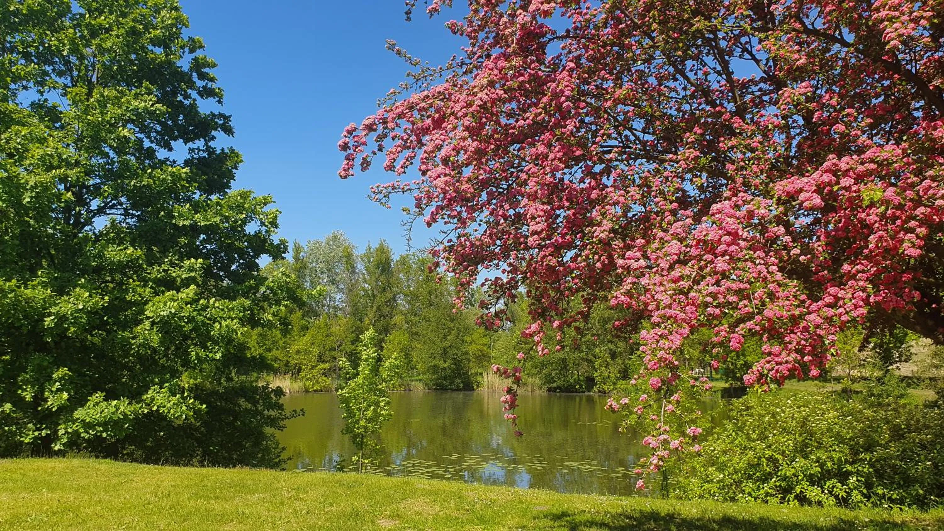 Spring in Hotel Nadodrzański Dwór - Nowa Sól