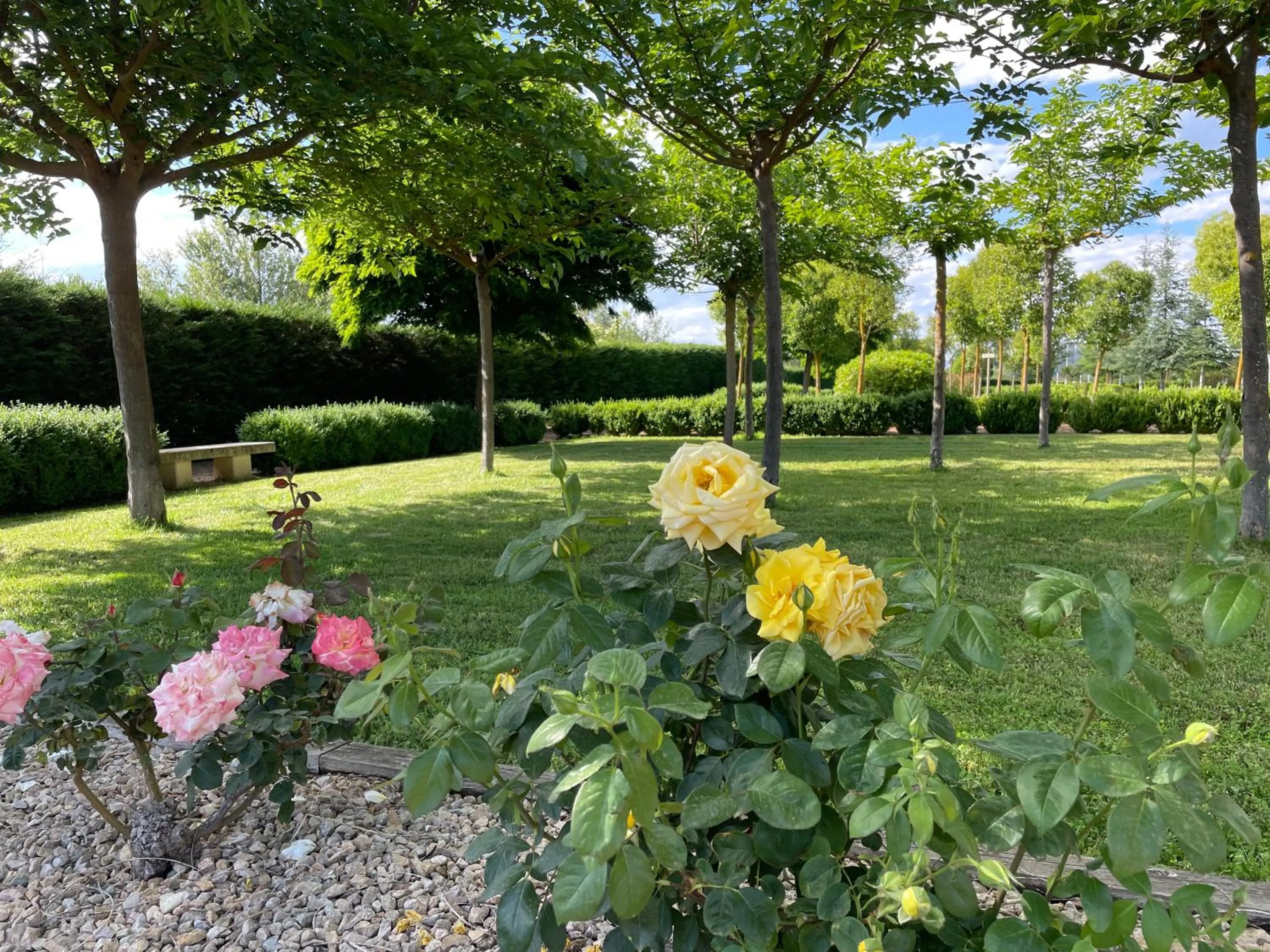 Garden in Natura Resorts