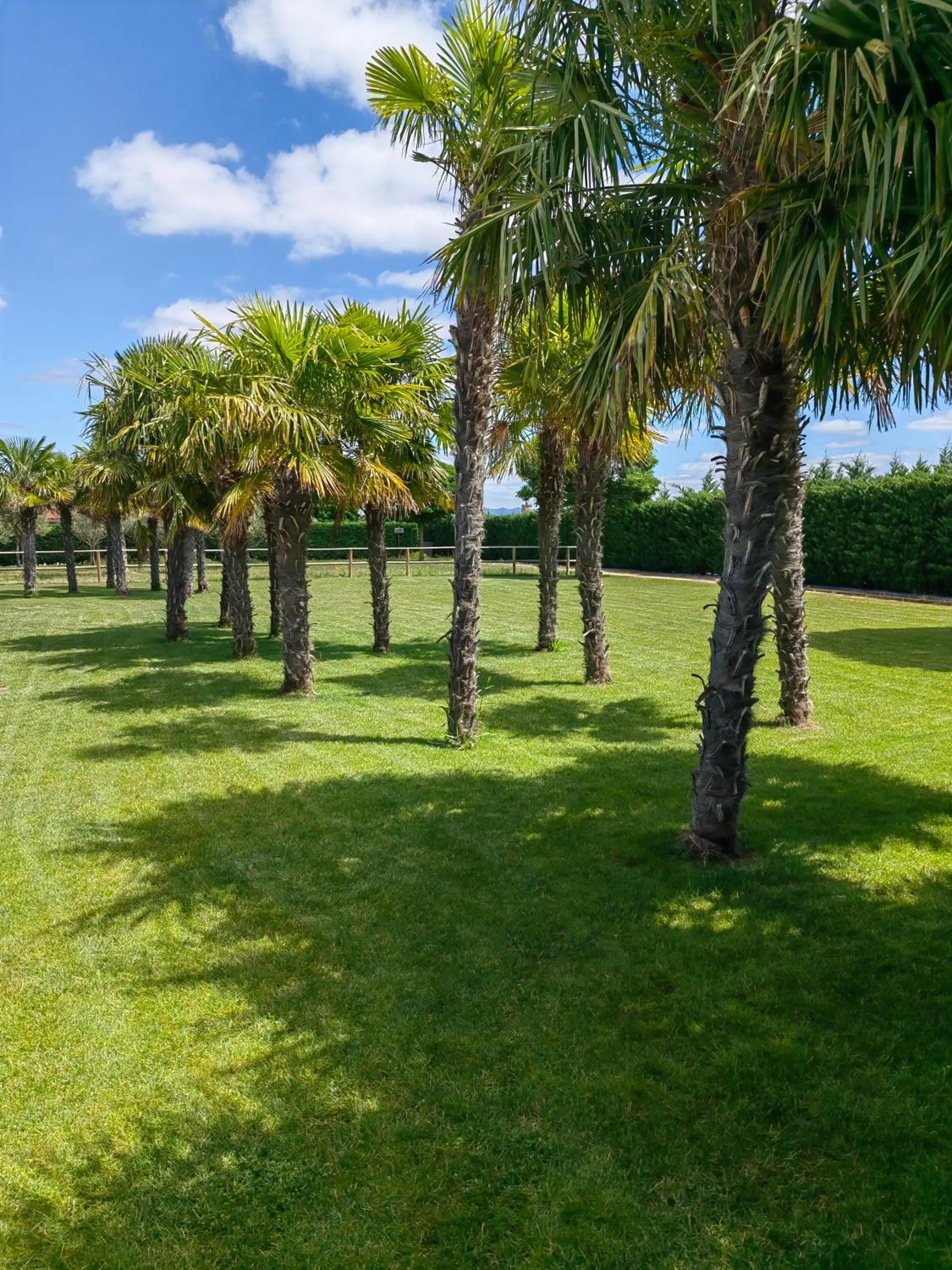 Natural landscape in Natura Resorts