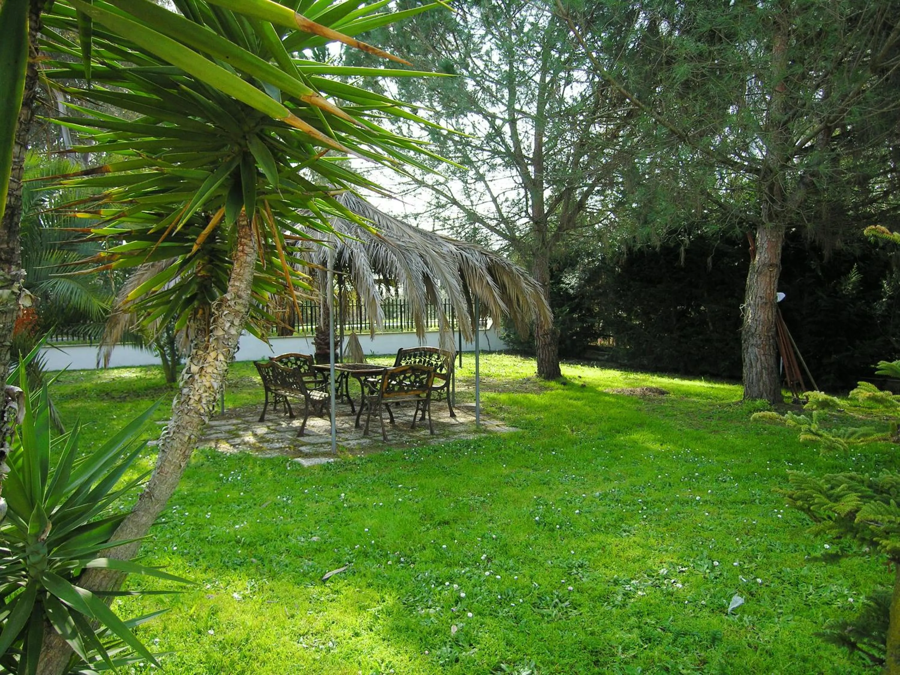 Garden in Hotel Villa Aurora