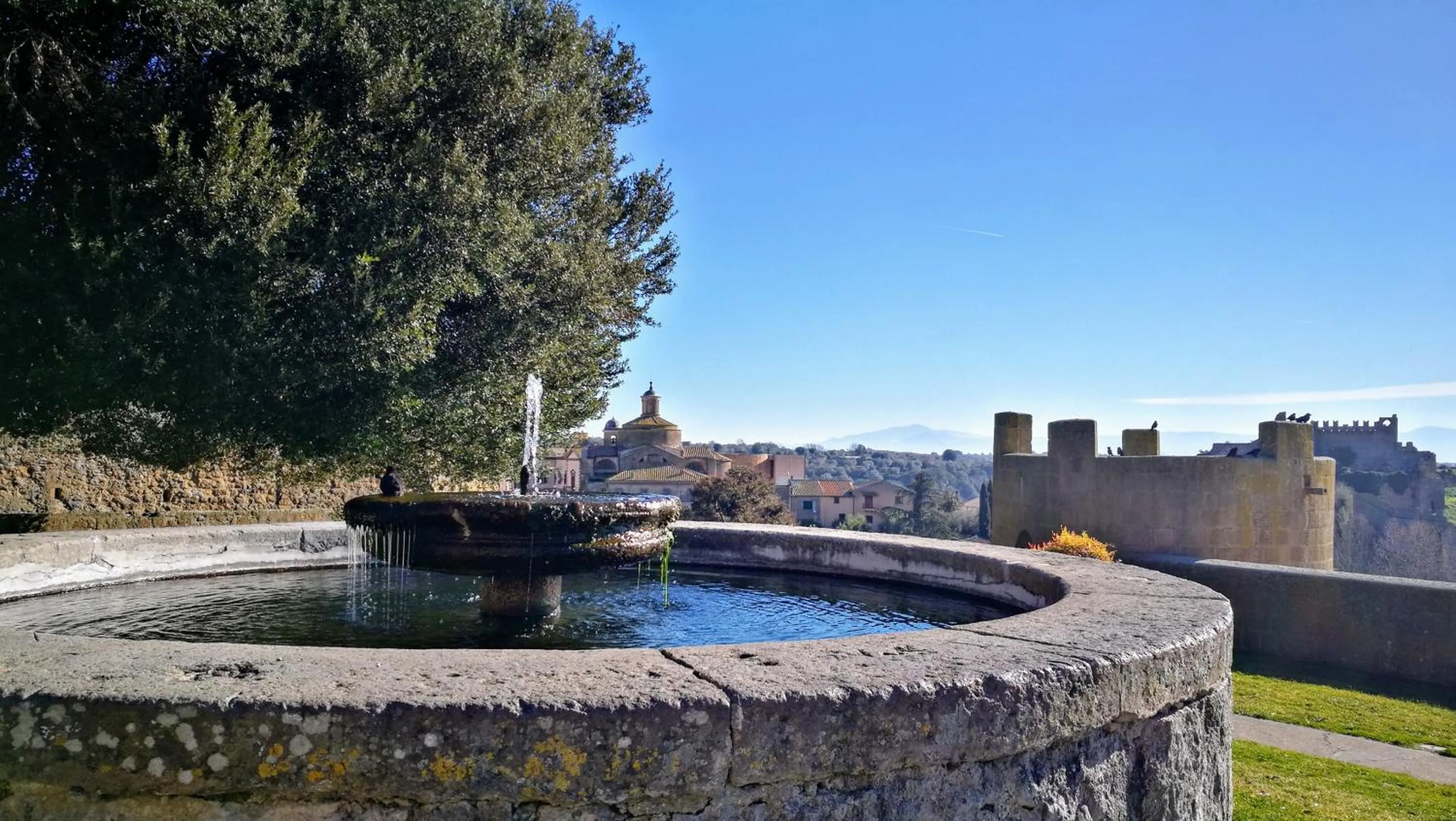 Nearby landmark in Locanda di Mirandolina