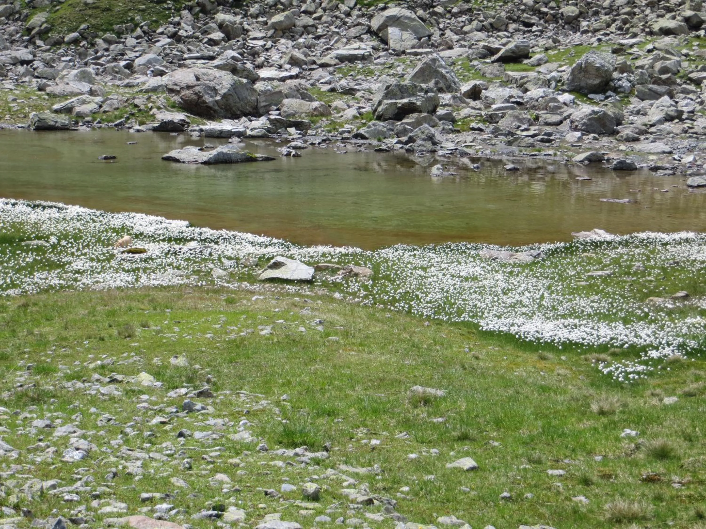 Area and facilities in Hotel Jennys Schlössl