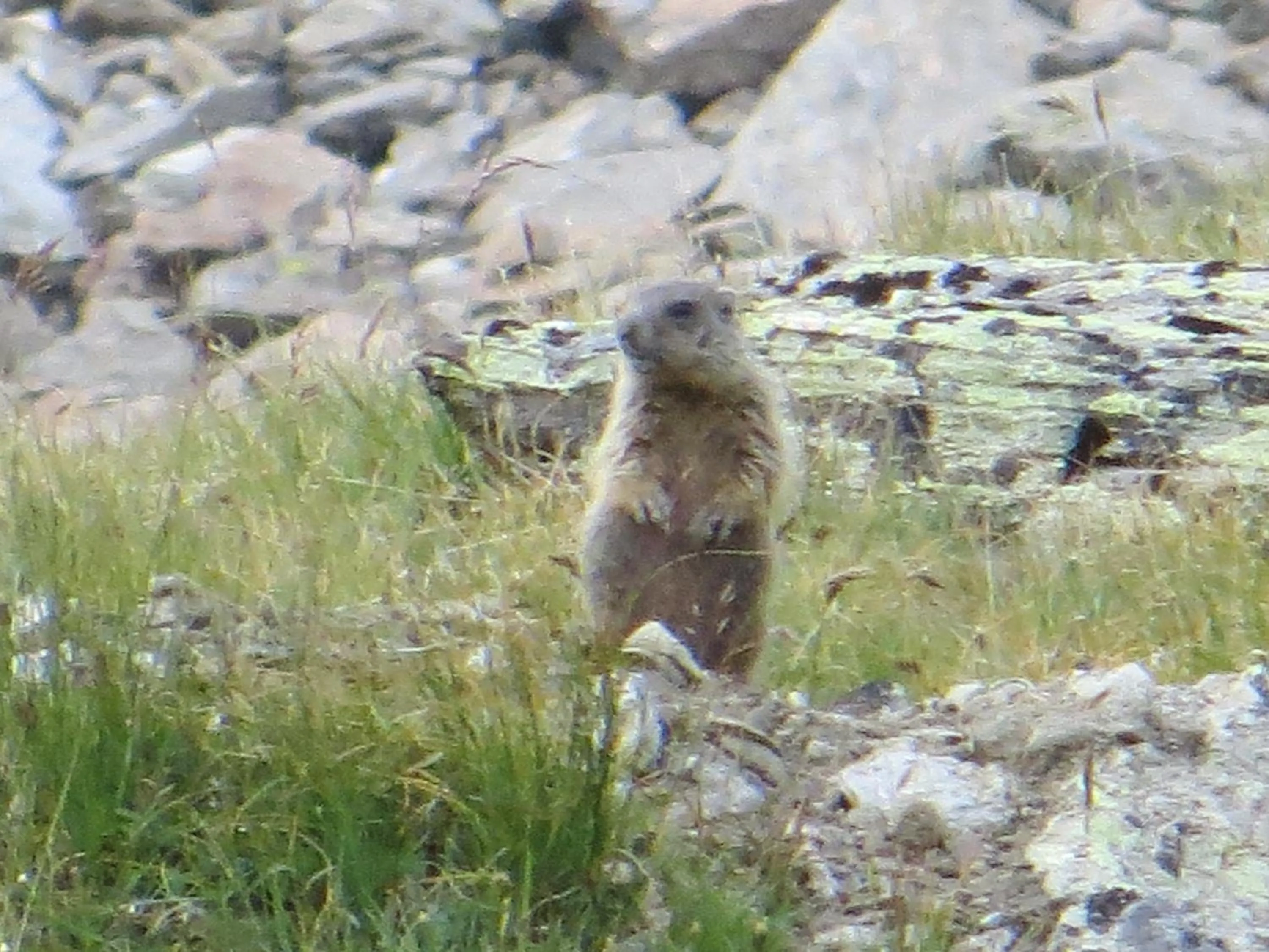 Area and facilities in Hotel Jennys Schlössl