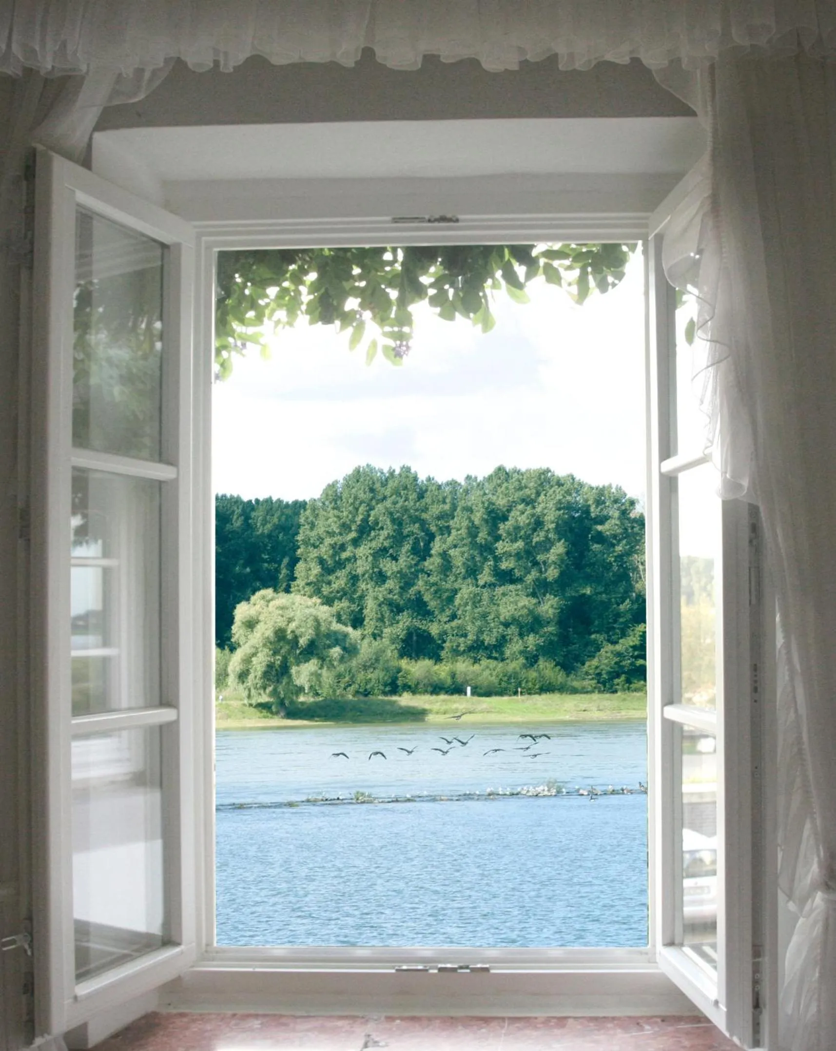 Lake view in Rhein River Guesthouse - direkt am Rhein