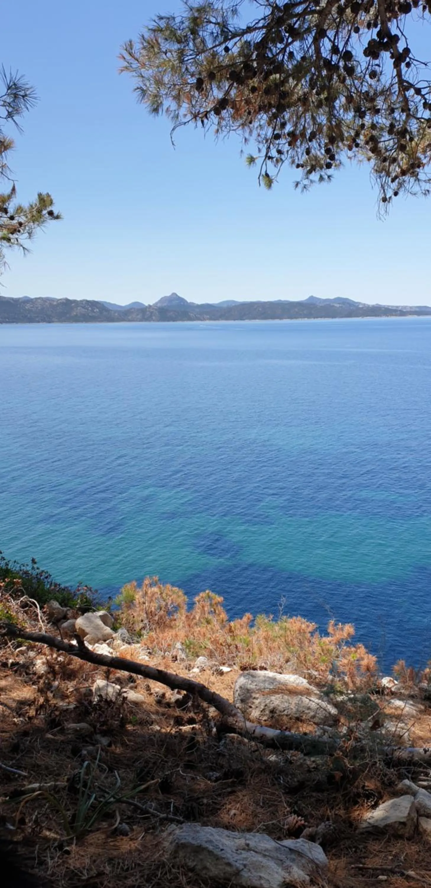 Natural Landscape in Hotel Madame Mere