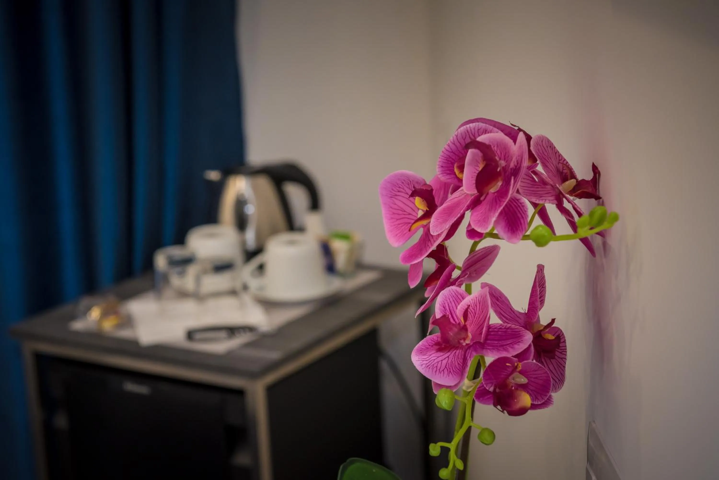 Other in B&B Elegance