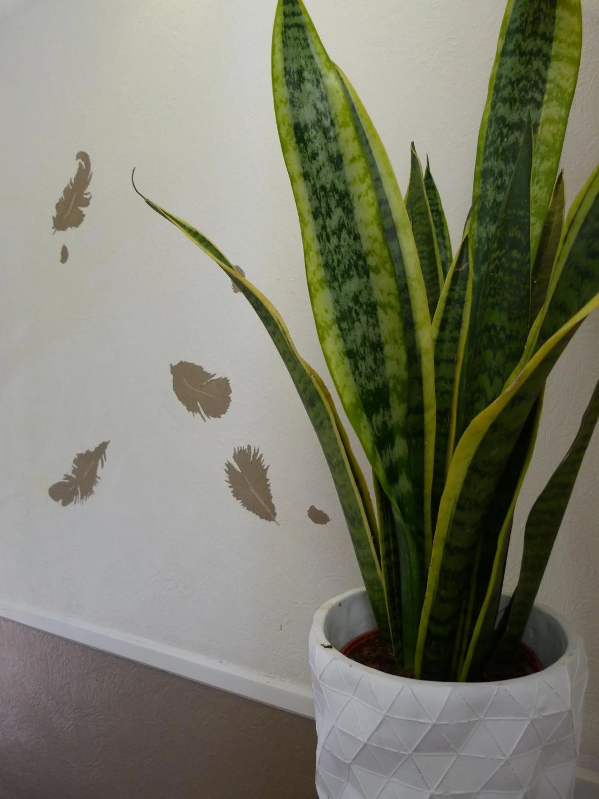 Decorative detail in Hôtel Le Bretagne