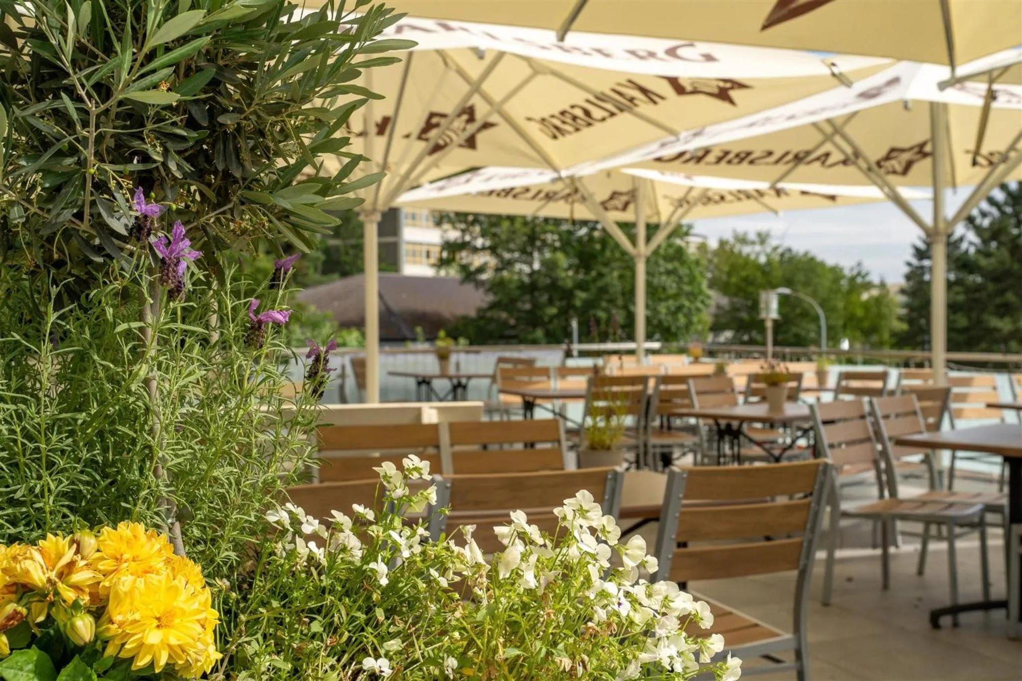 Restaurant/places to eat in Waldhotel Eisenberg