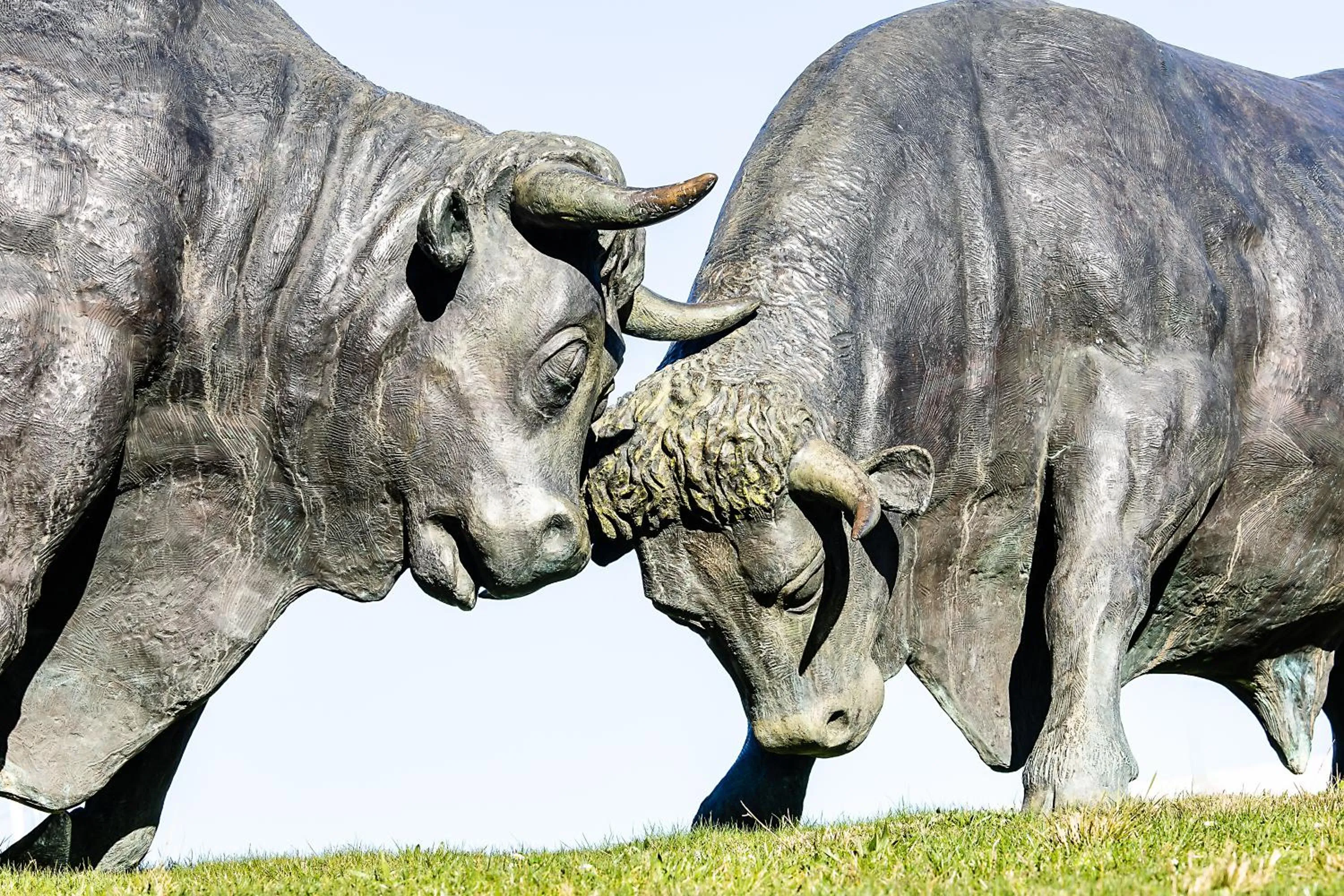 Nearby landmark in Hotel ibis Bragança