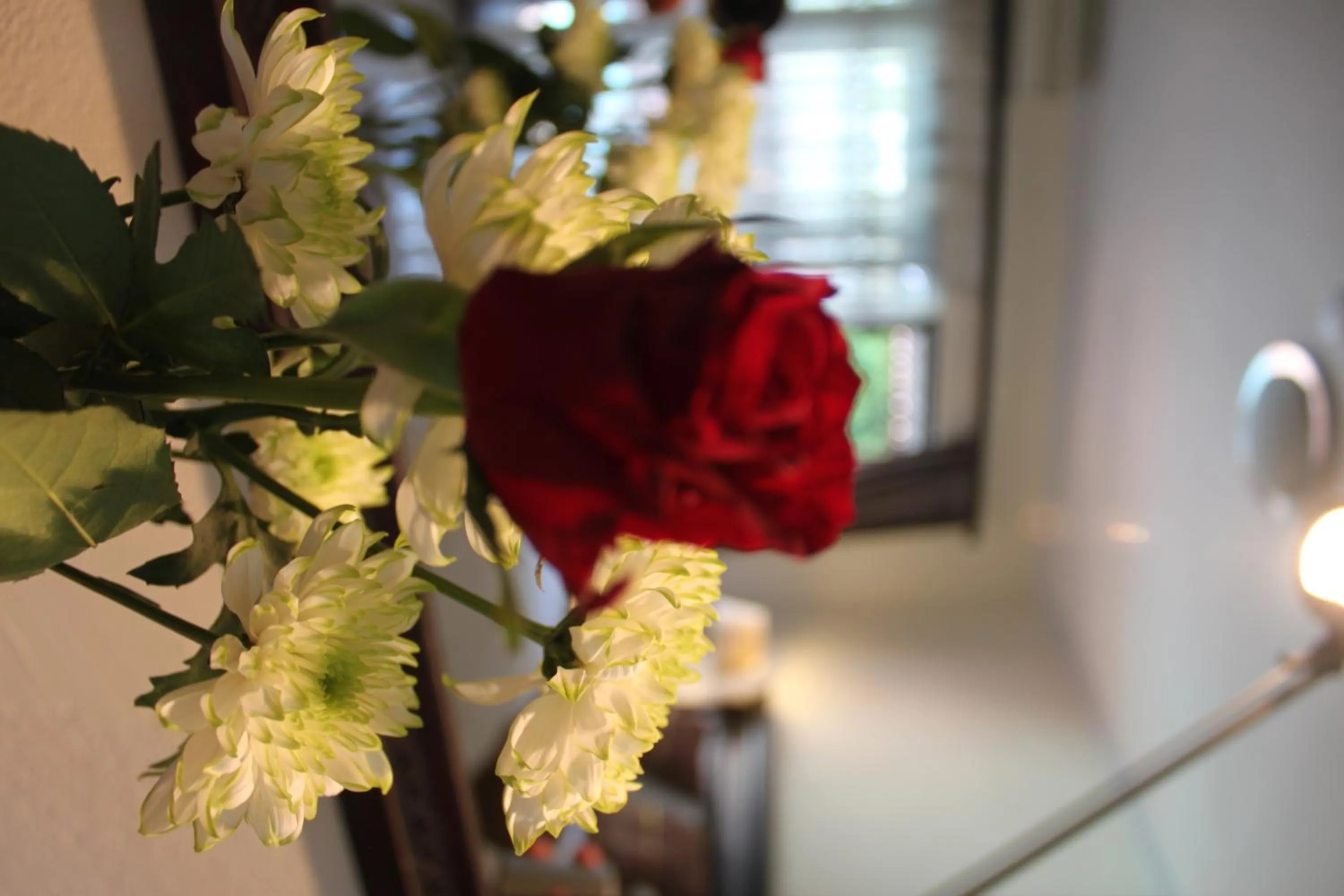 Rosenthal Guesthouse