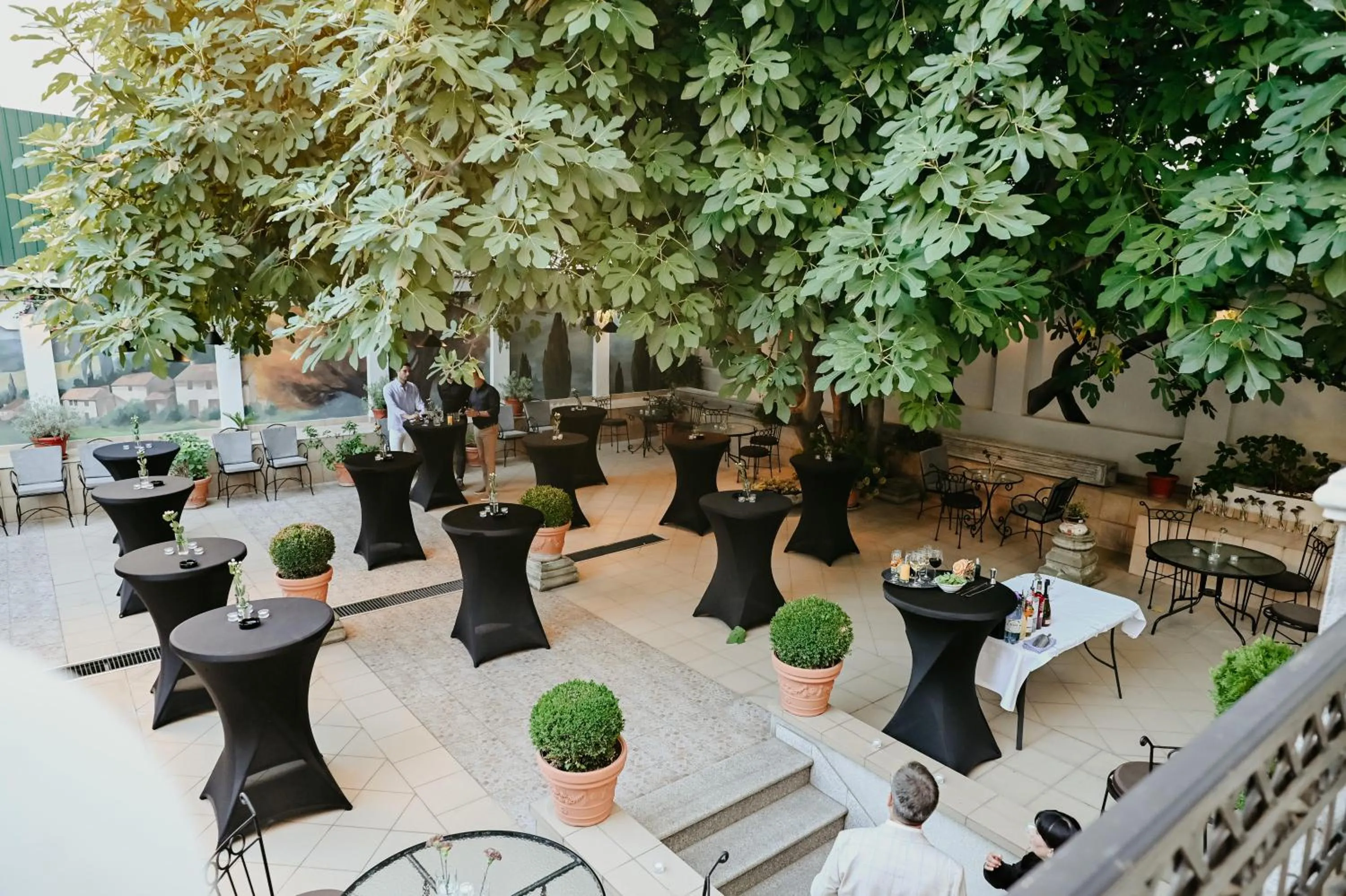 Garden in Hotel Jardin