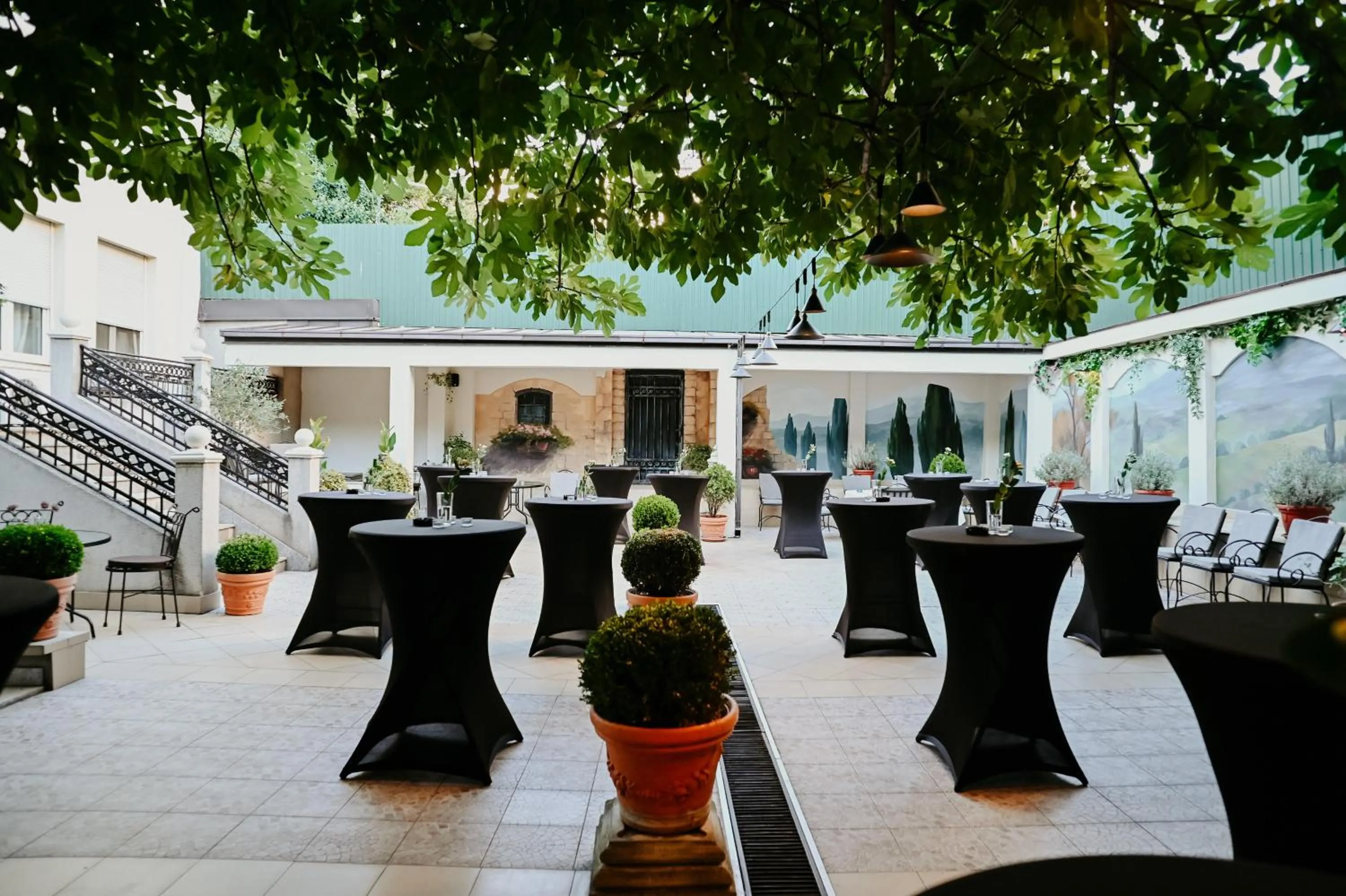 Garden in Hotel Jardin