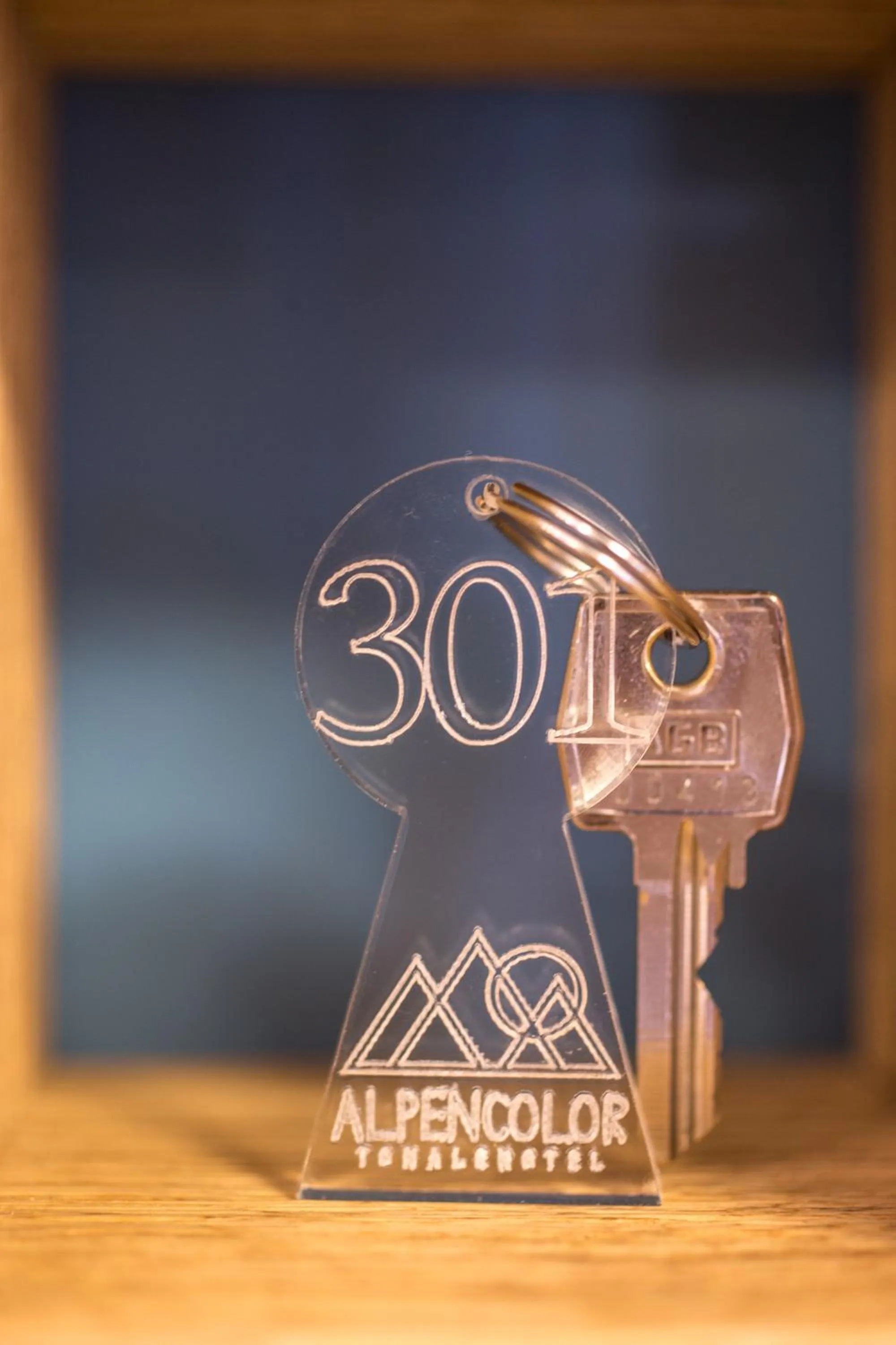 Alpencolor Hotel Tonale