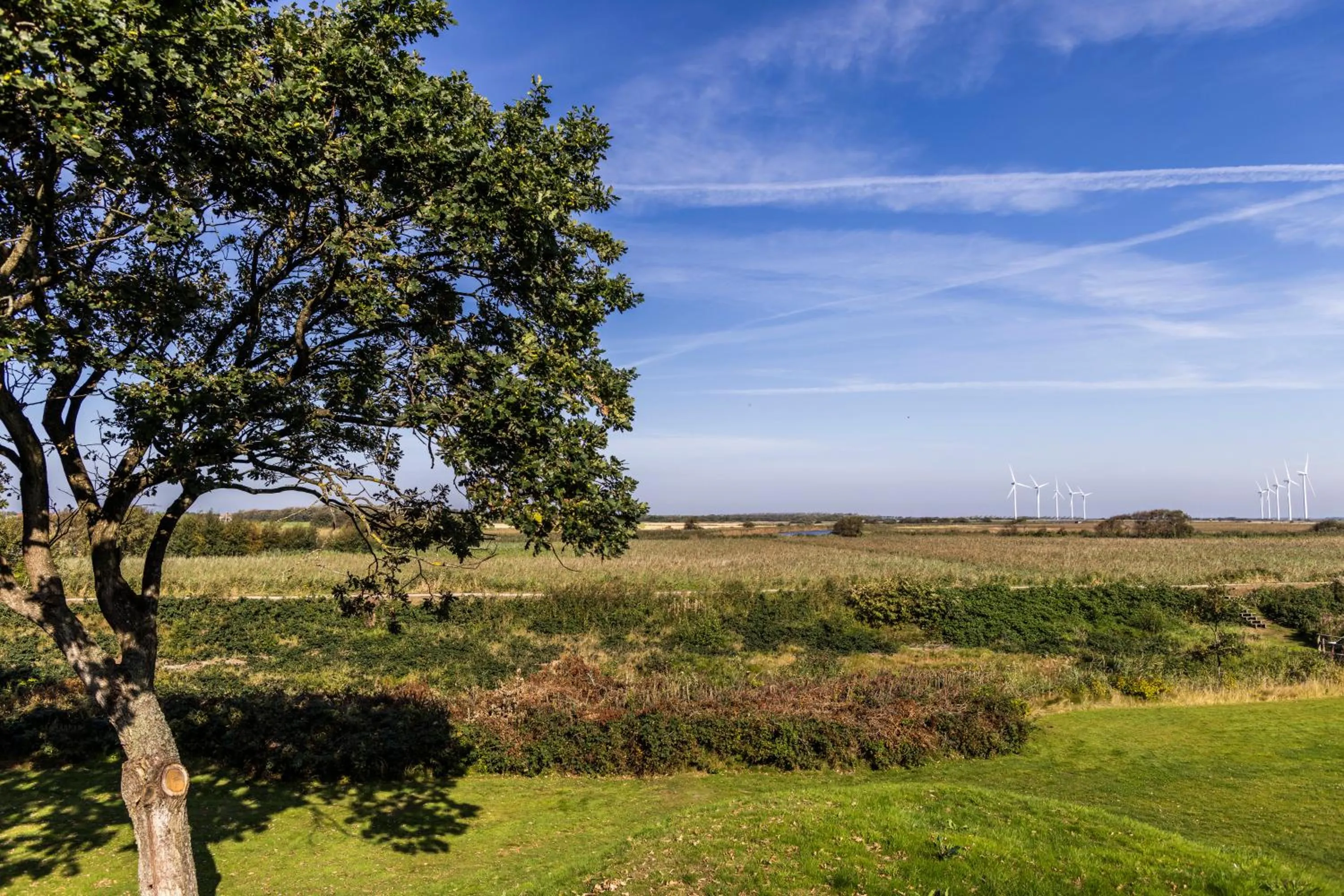 Natural landscape in Fjordgaarden - Spa - Hotel - Konference