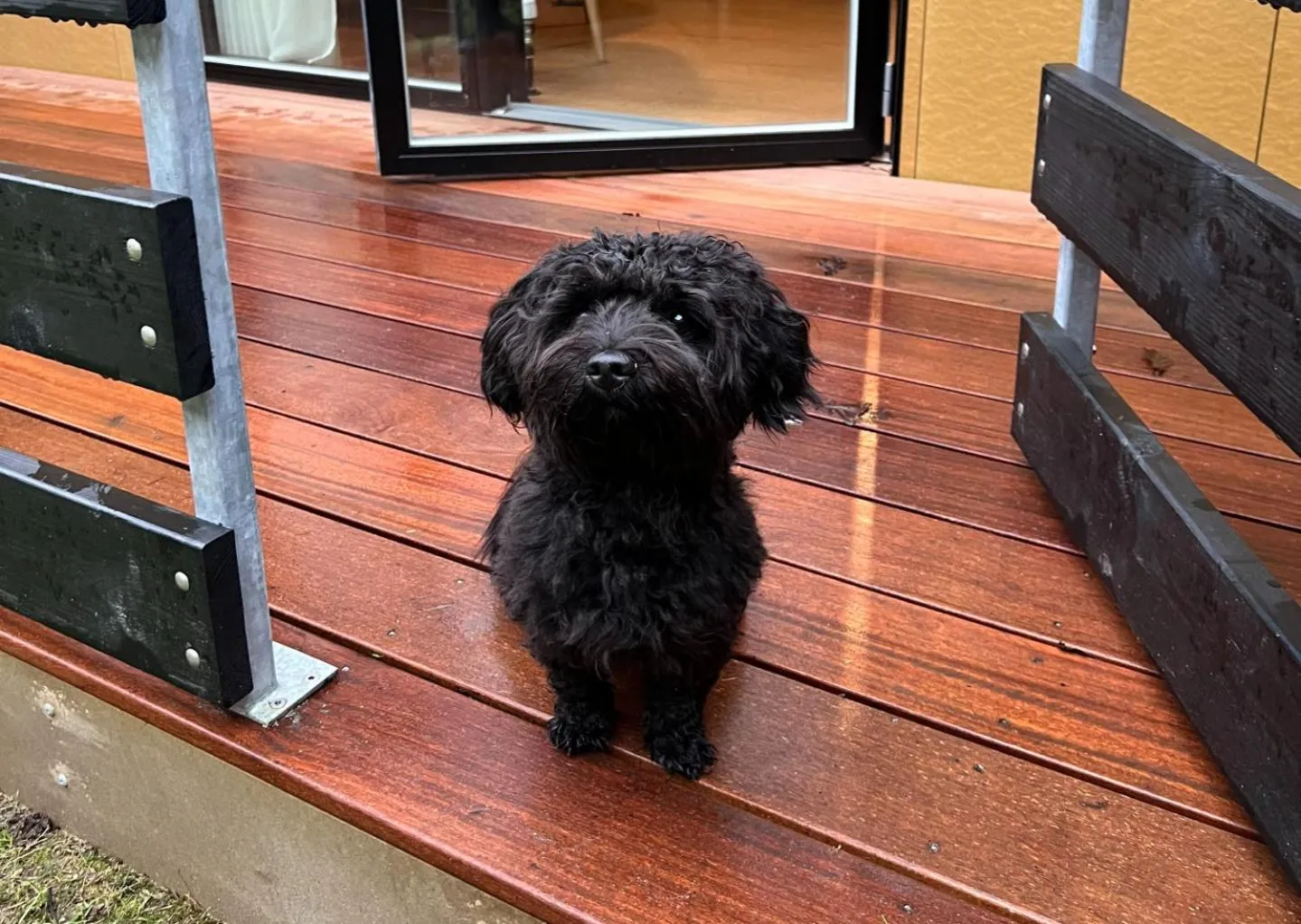 Pets in Fjordgaarden - Spa - Hotel - Konference