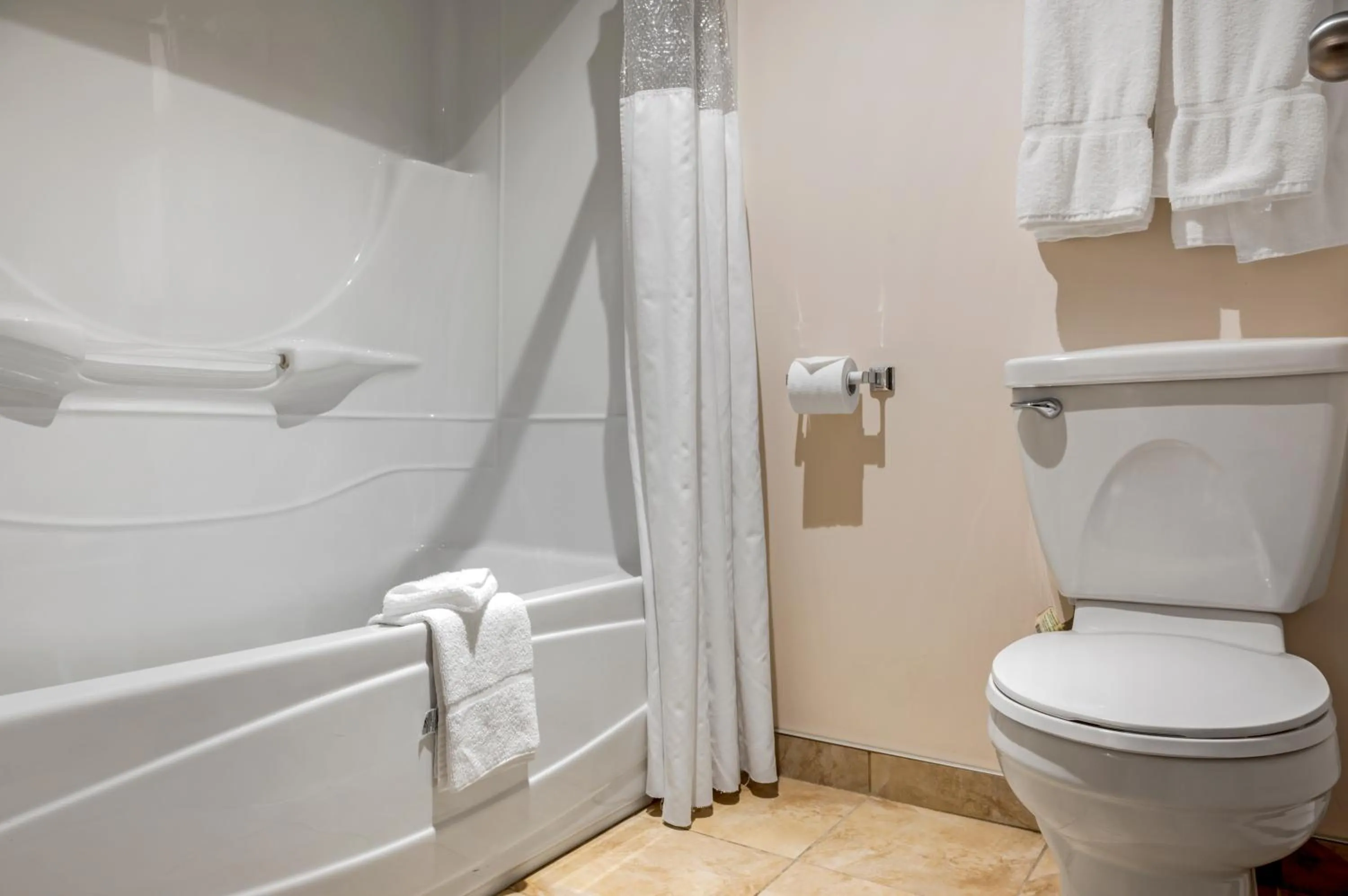 Shower in Econo Lodge Inn & Suites