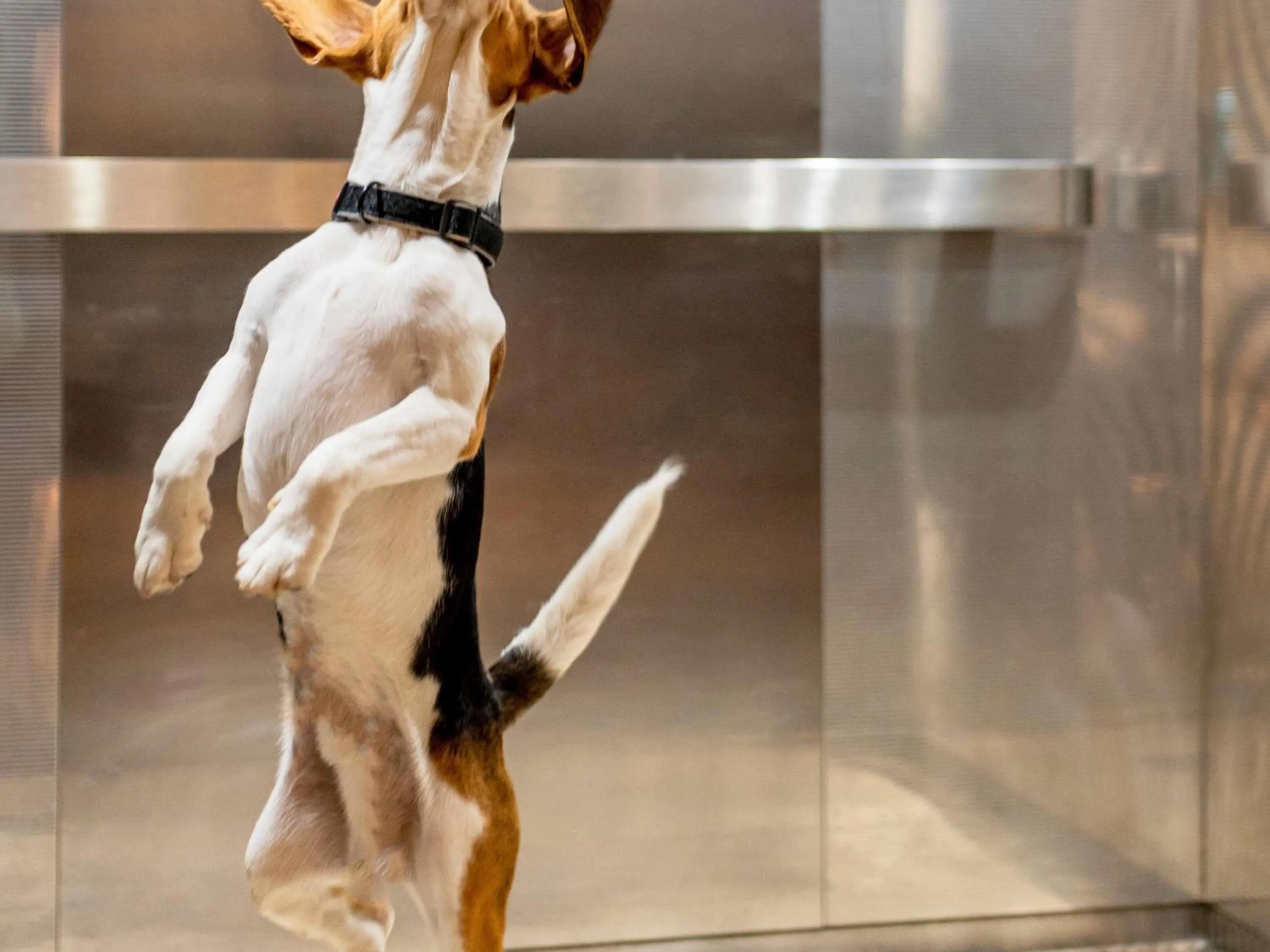 Other in Hotel ibis Evora