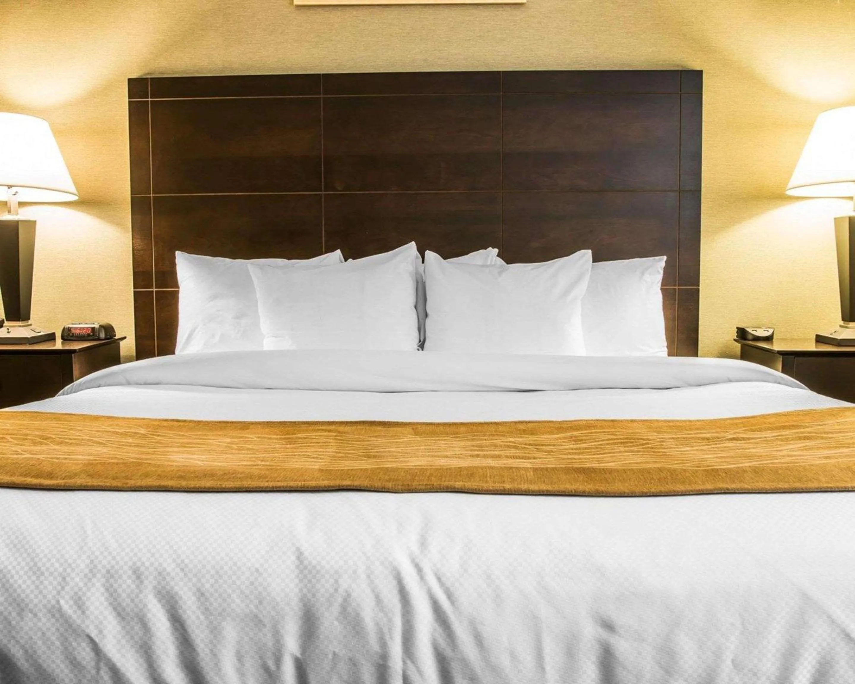 Bedroom, Bed in Comfort Inn Whitehall near Michigan's Adventure