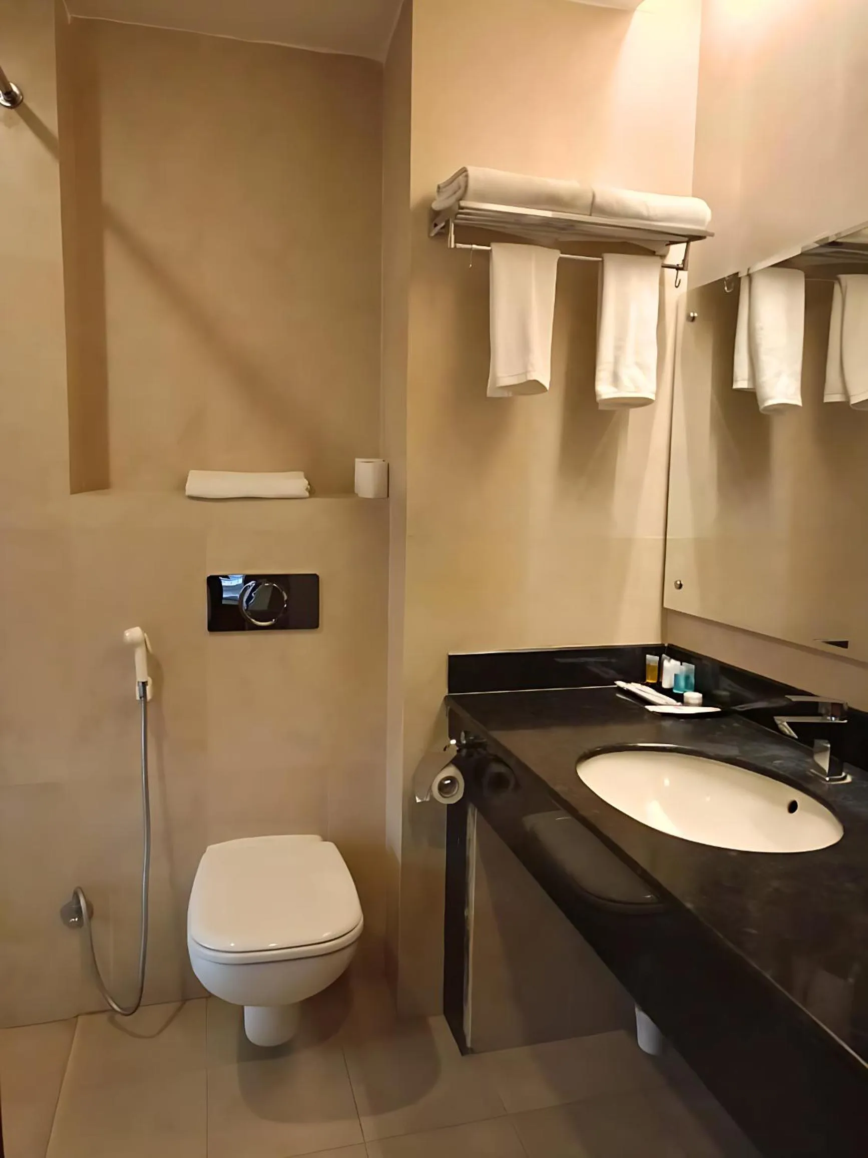 Toilet in Landmark Kathmandu