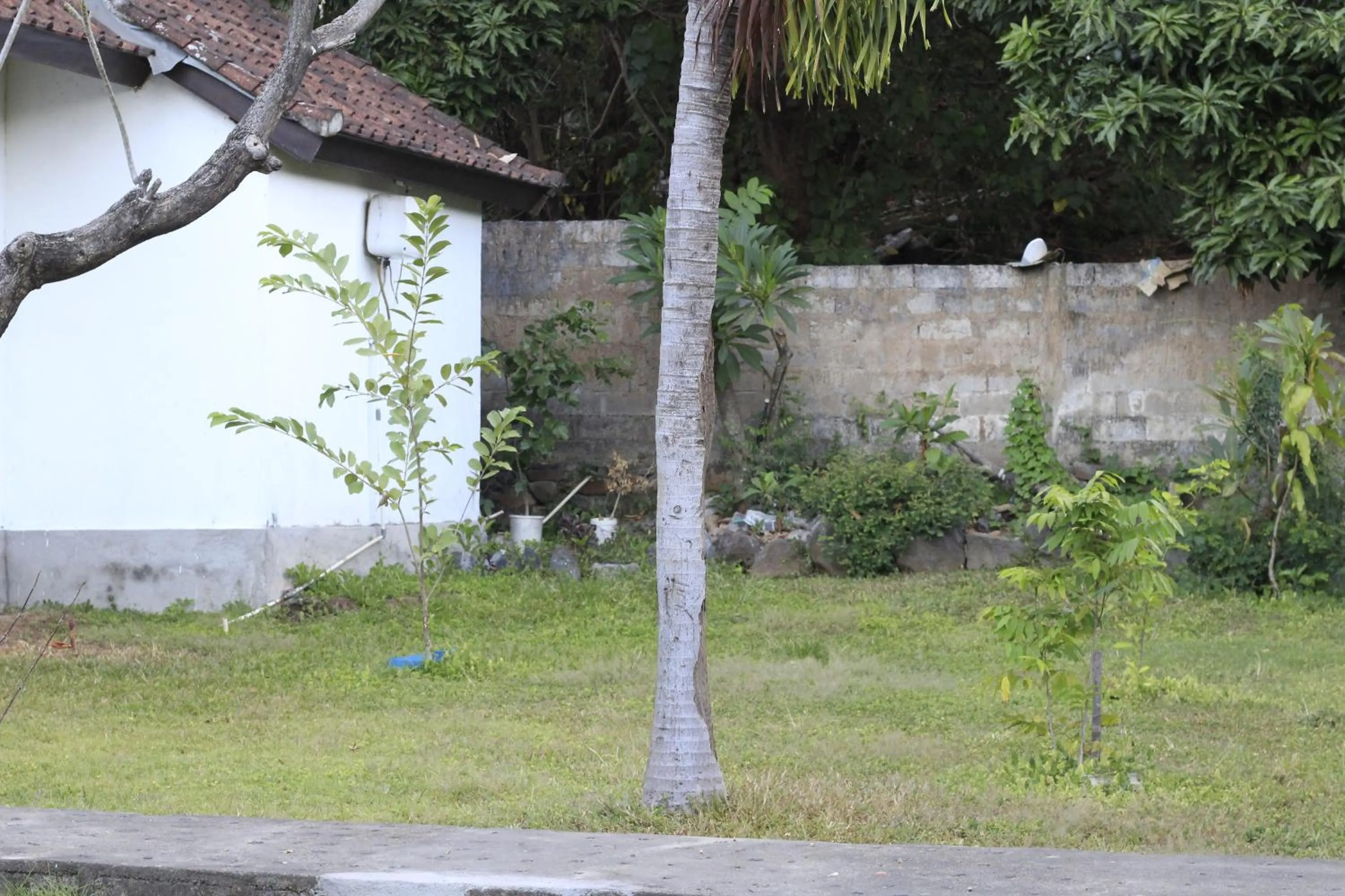 COCONUT BEACH BUNGALOWs & WARUNG 2