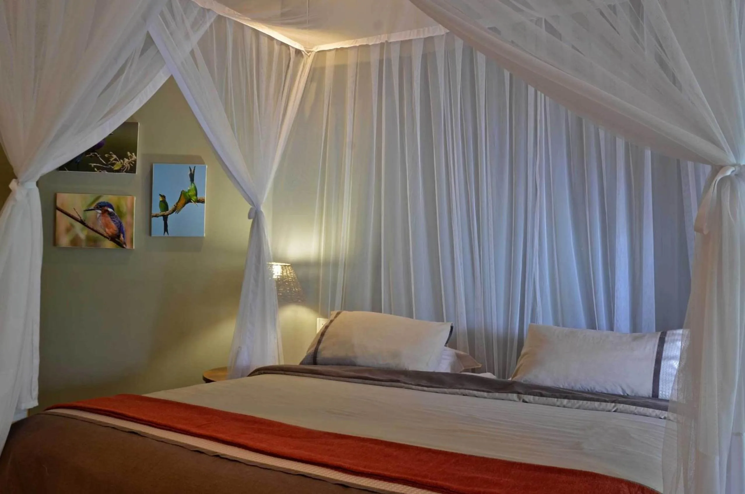 Bed in Tingala Lodge - Bed in the Bush