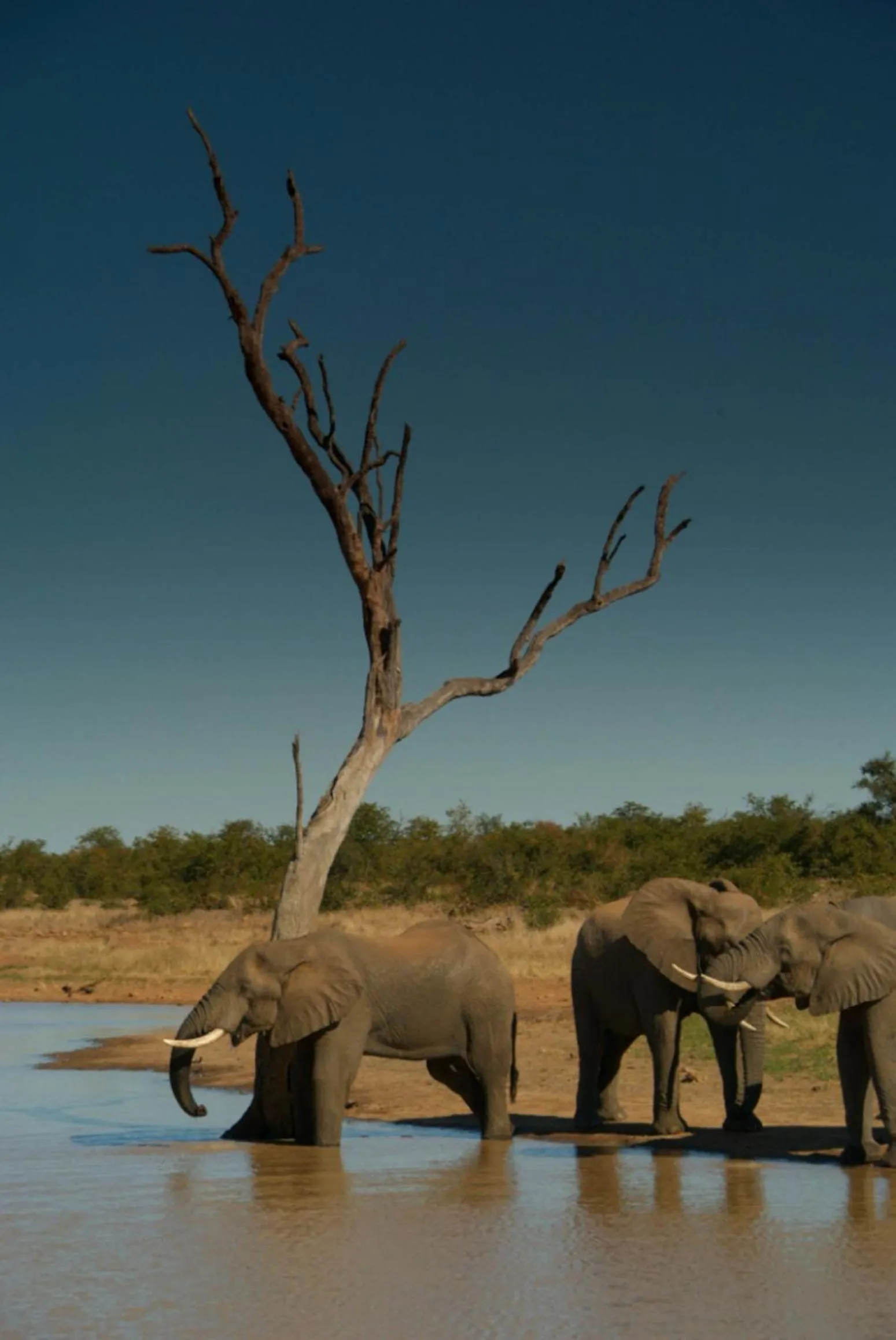 Hiking in Tingala Lodge - Bed in the Bush