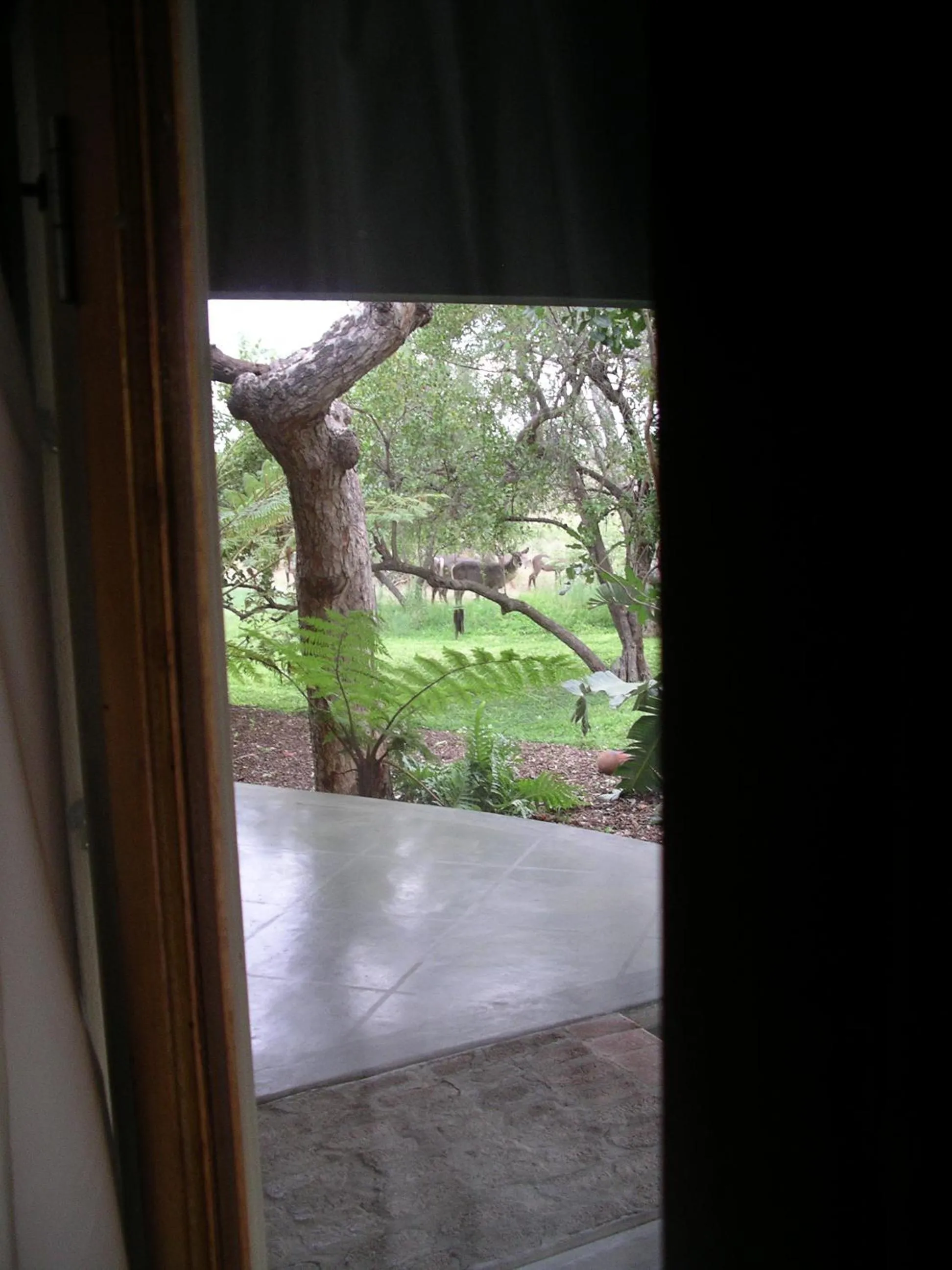 Nearby landmark in Tingala Lodge - Bed in the Bush