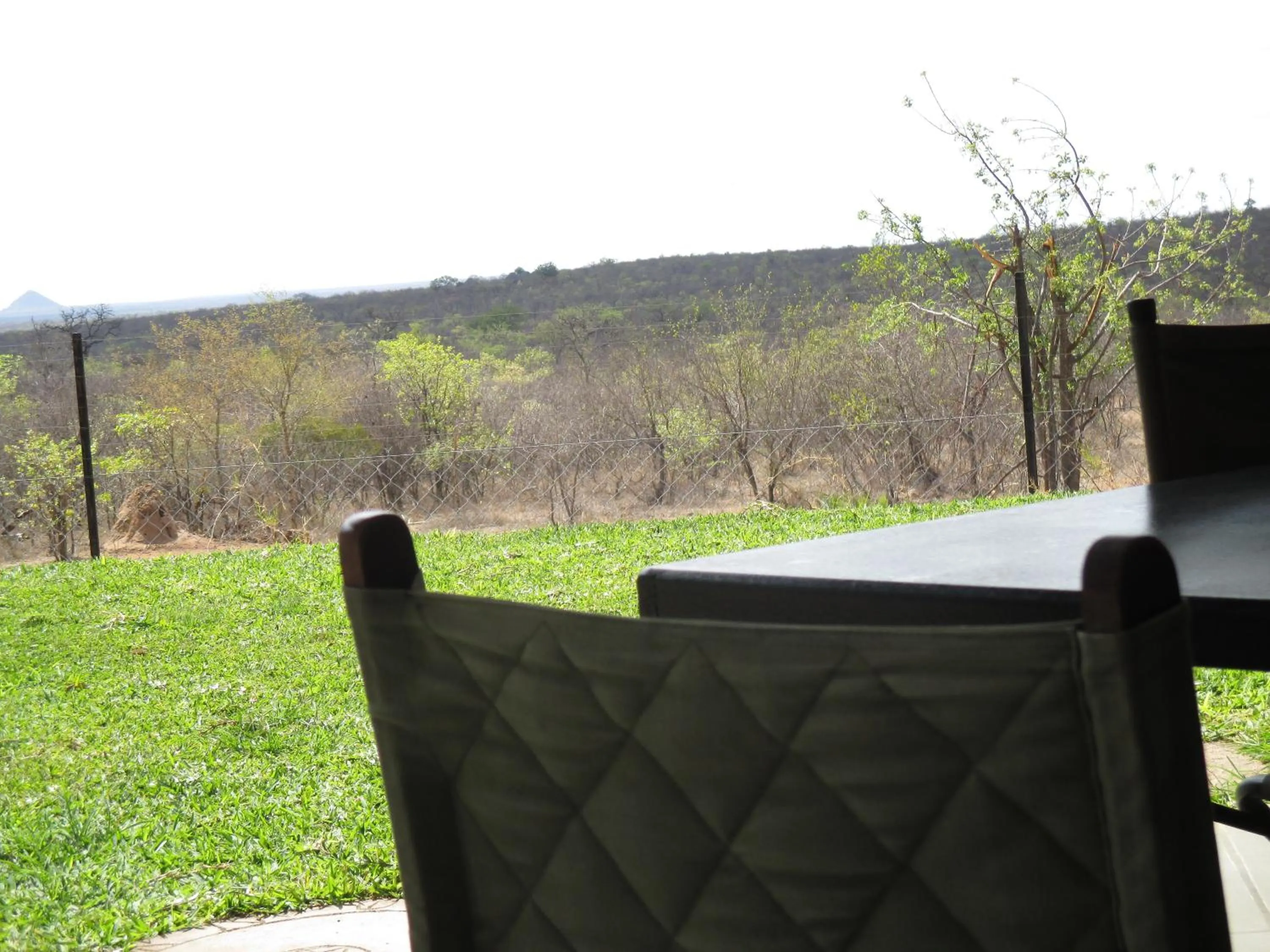 View (from property/room) in Tingala Lodge - Bed in the Bush