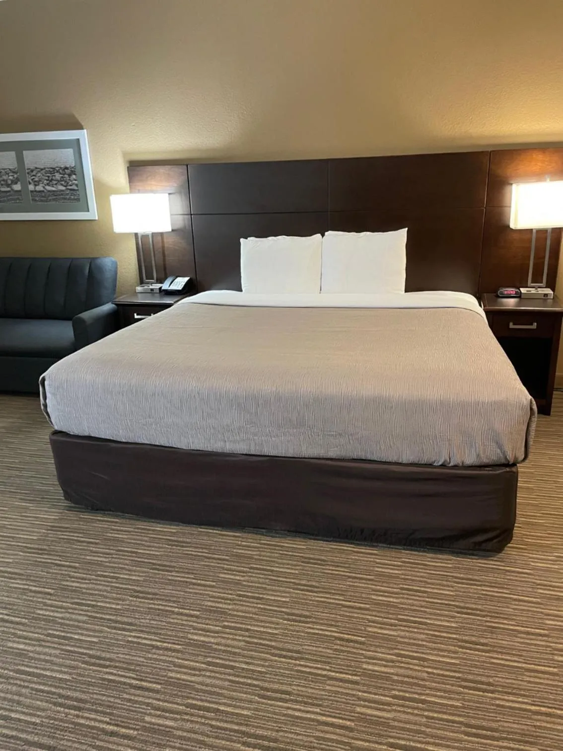 Bed in Quality Inn & Suites Seabrook- NASA- Kemah
