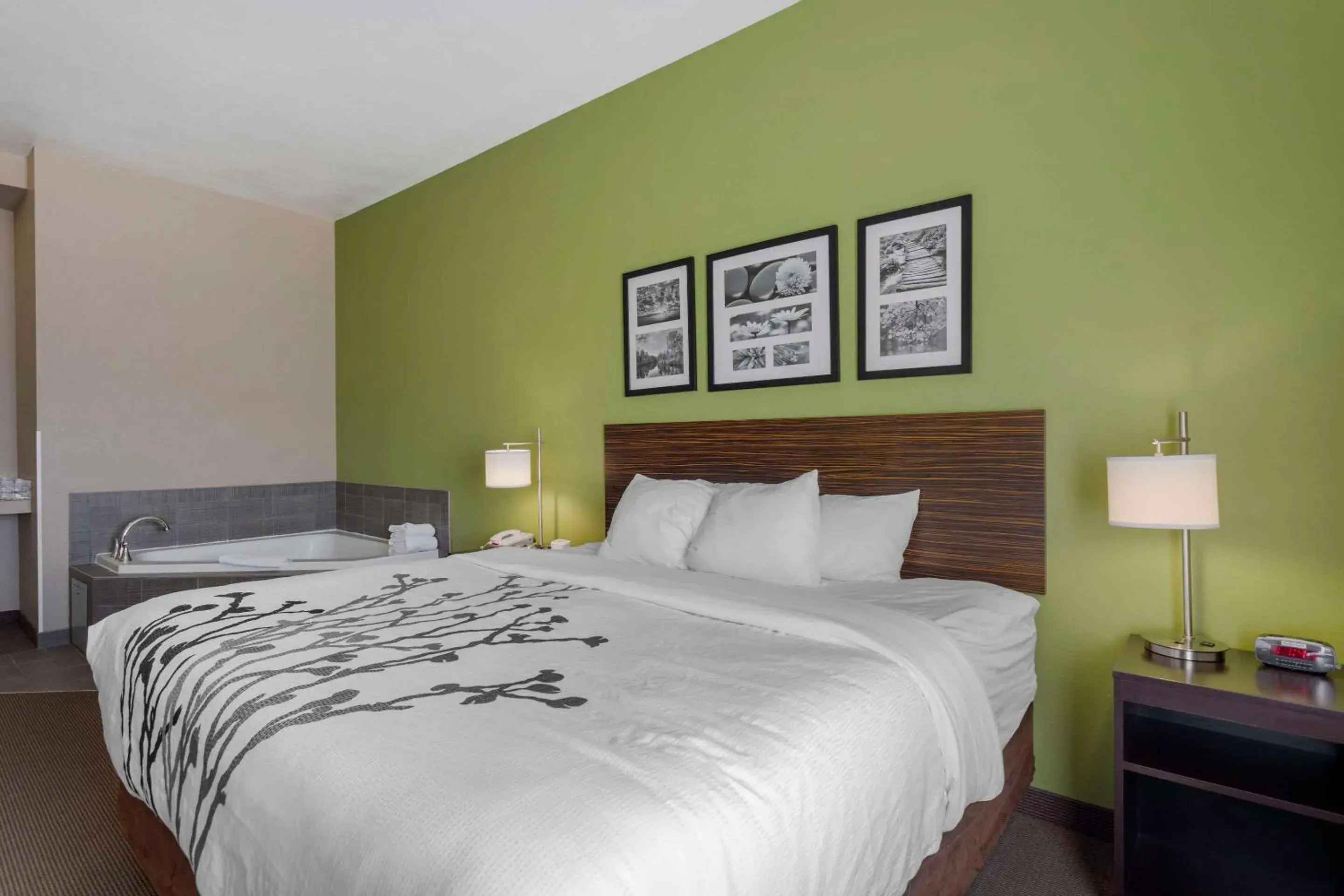 King Room - Non-Smoking in Sleep Inn & Suites Cave City King Room - Non-Smoking in Sleep Inn & Suites Cave City