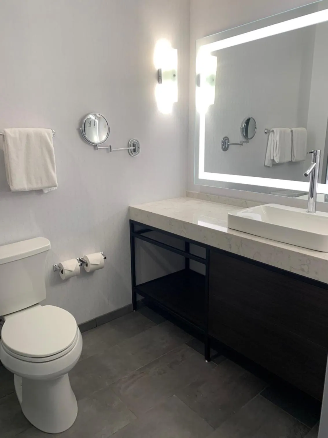 Toilet in Hyatt Regency Pittsburgh International Airport