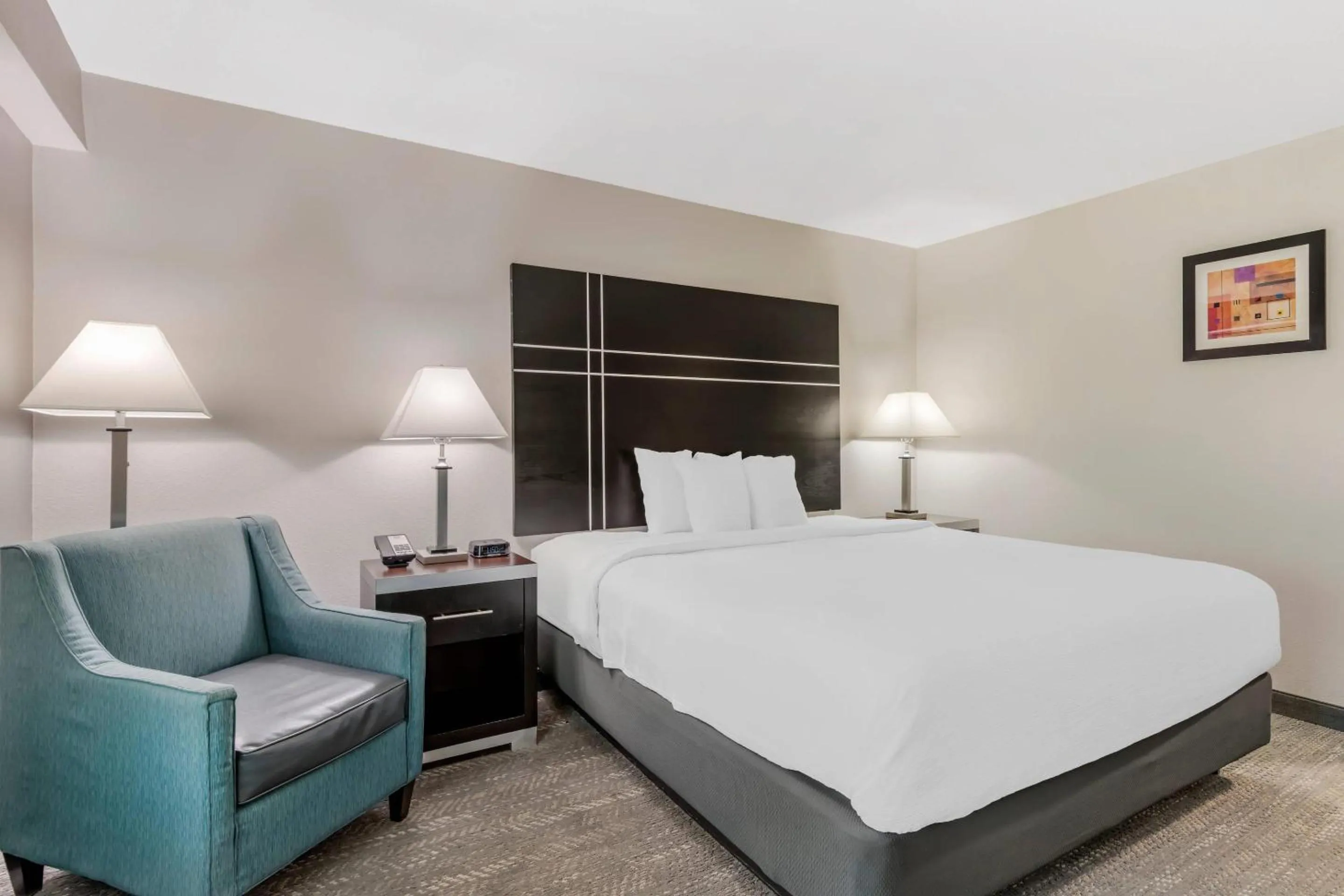 Bedroom, Bed in Quality Inn & Suites Union City - Atlanta South