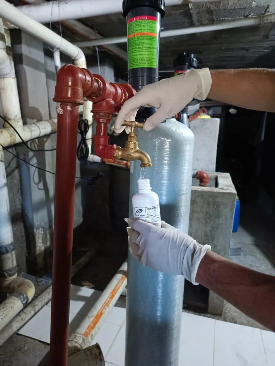 Galapagos Verde Azul