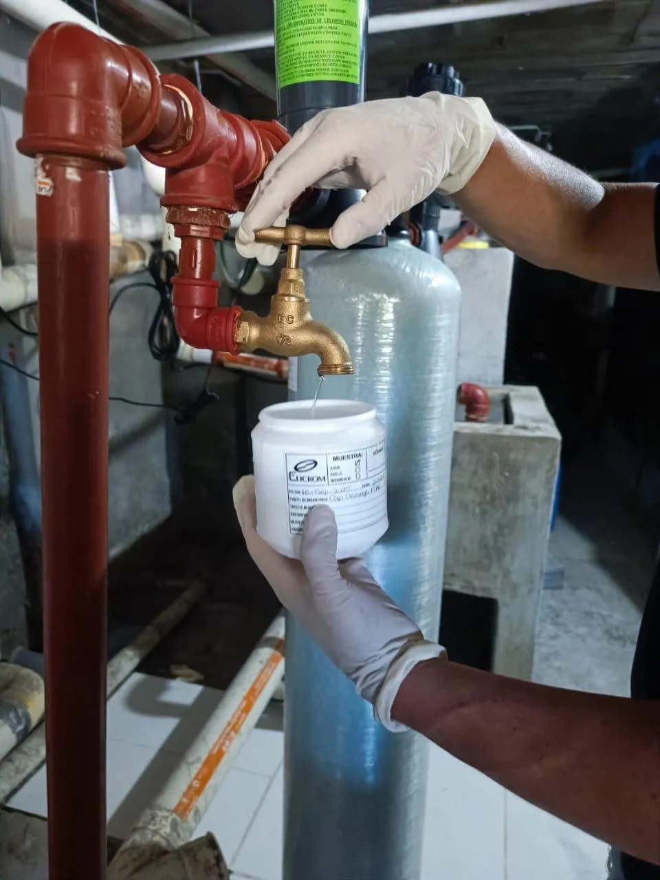 Galapagos Verde Azul