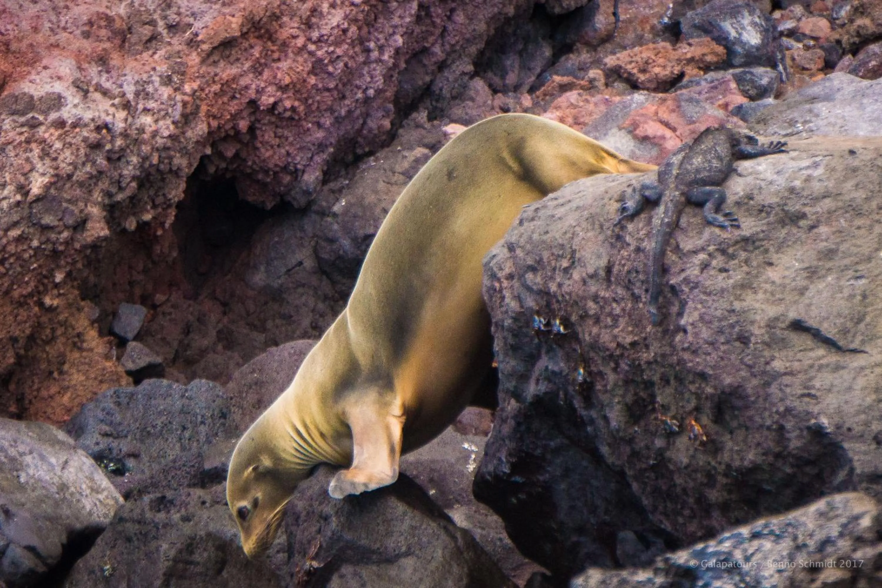 Fishing in Galapagos Verde Azul